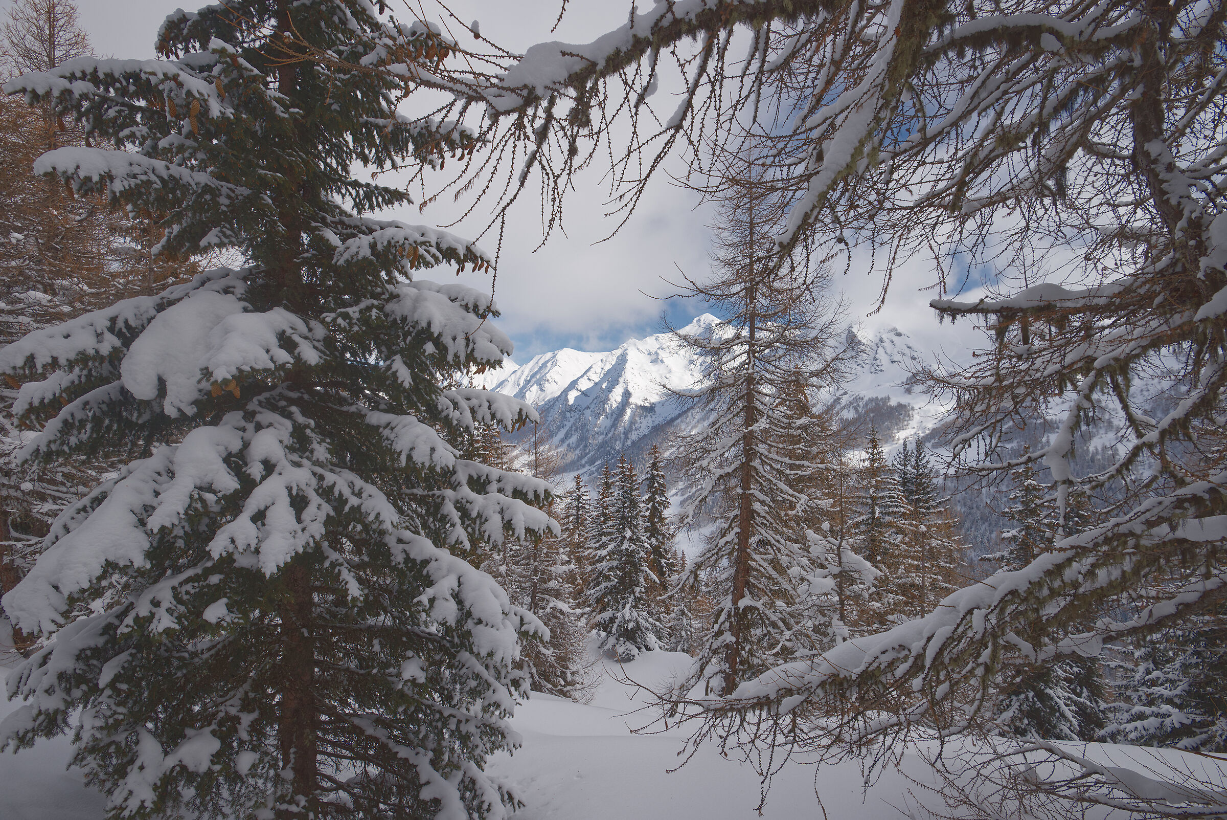 Aosta Valley February 2017