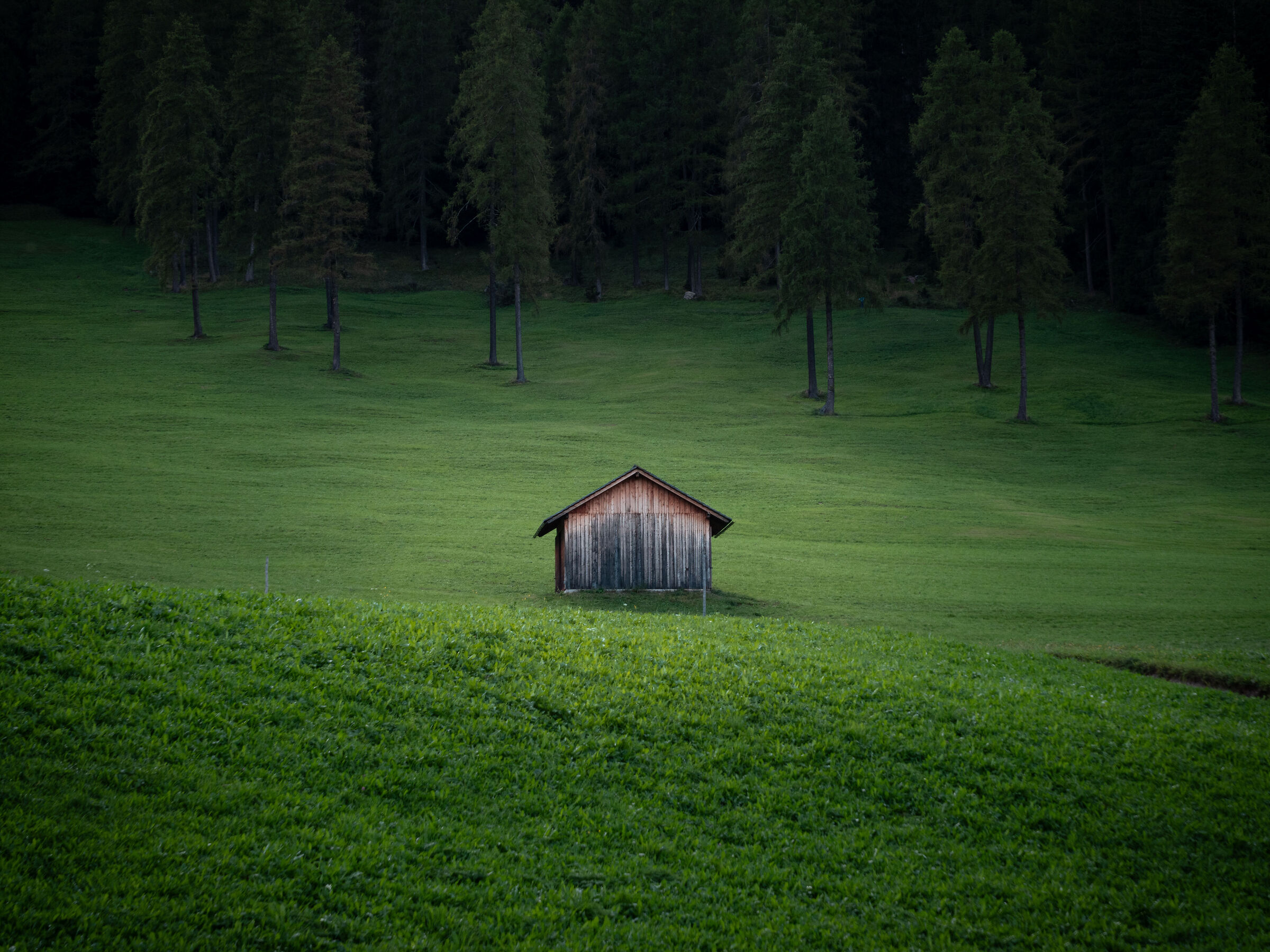 Val Fiscalina Bolzano