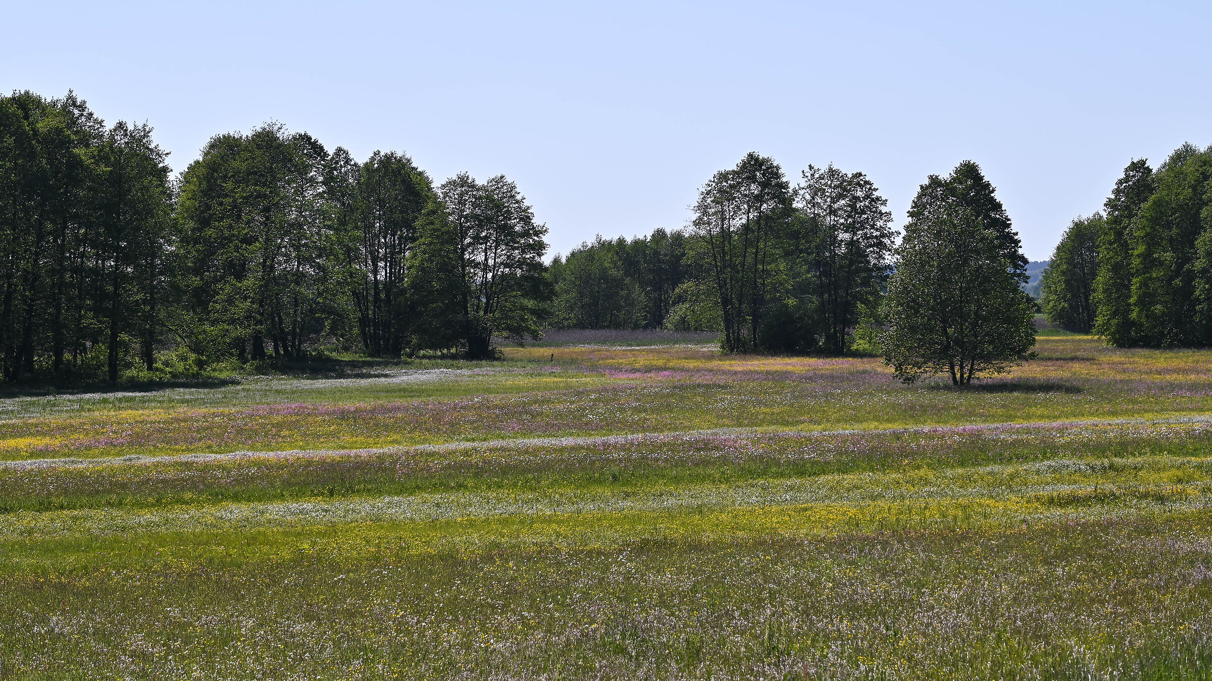La valle del fiume Bug