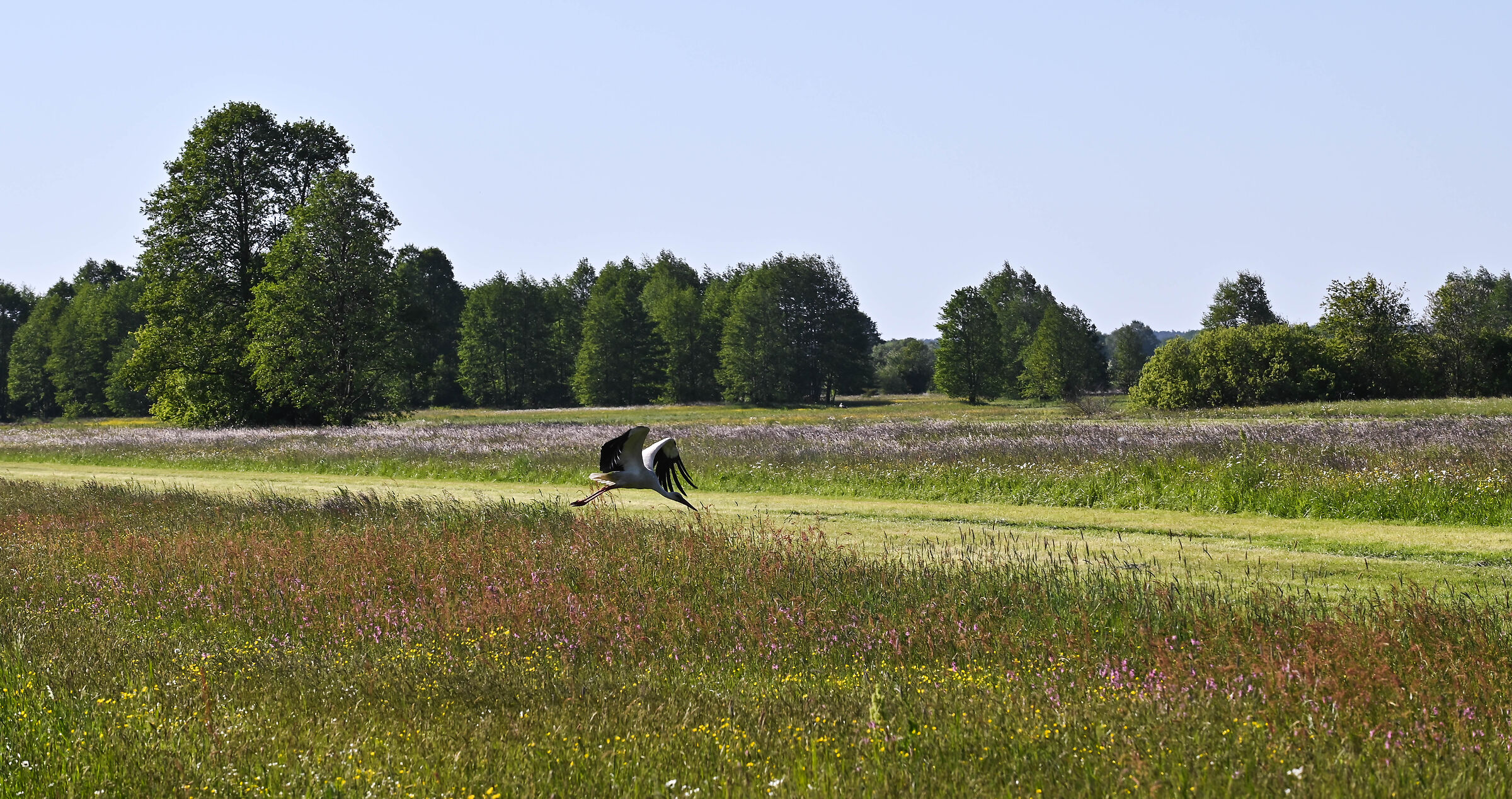 La valle del fiume Bug