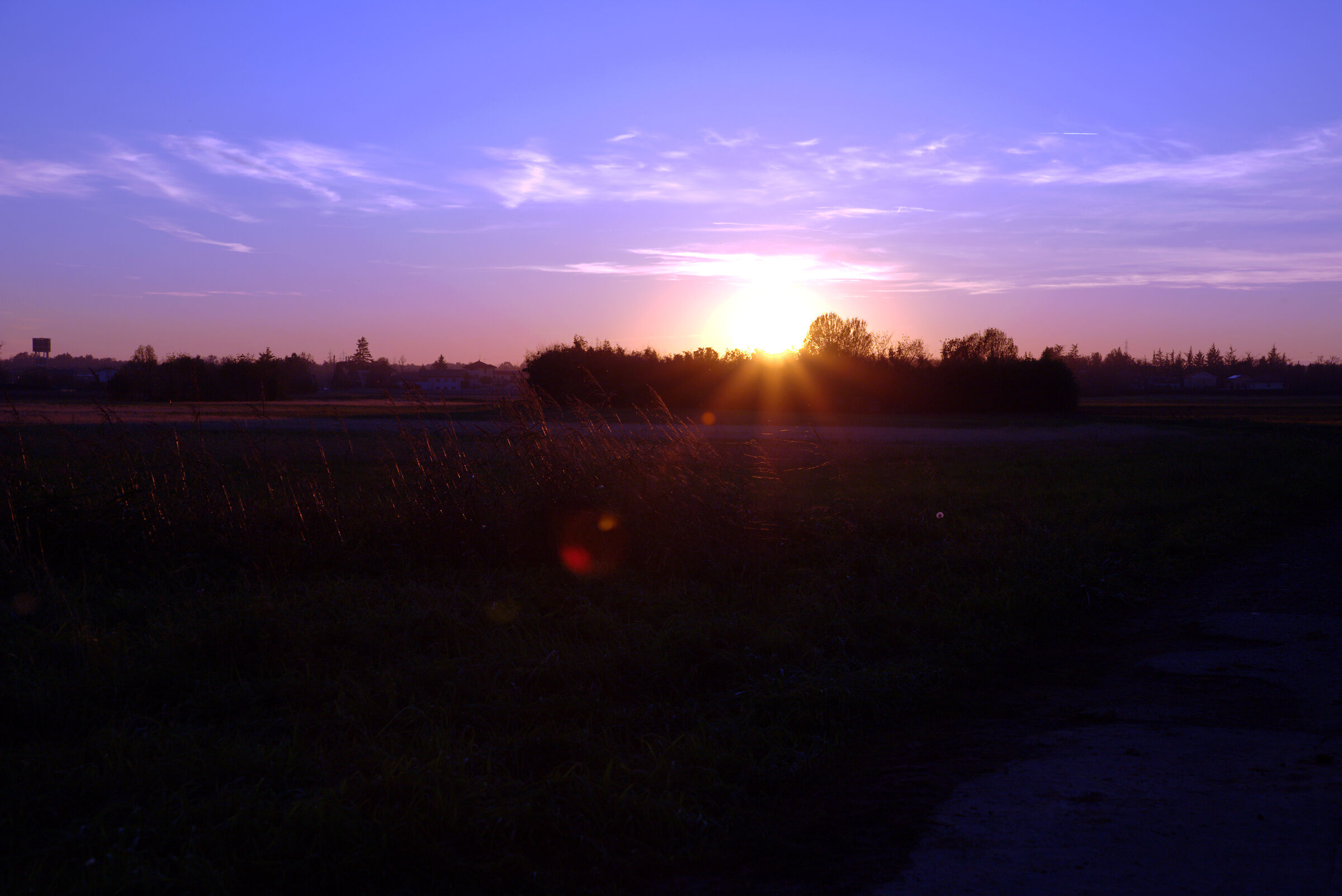 Tramonto nel campo