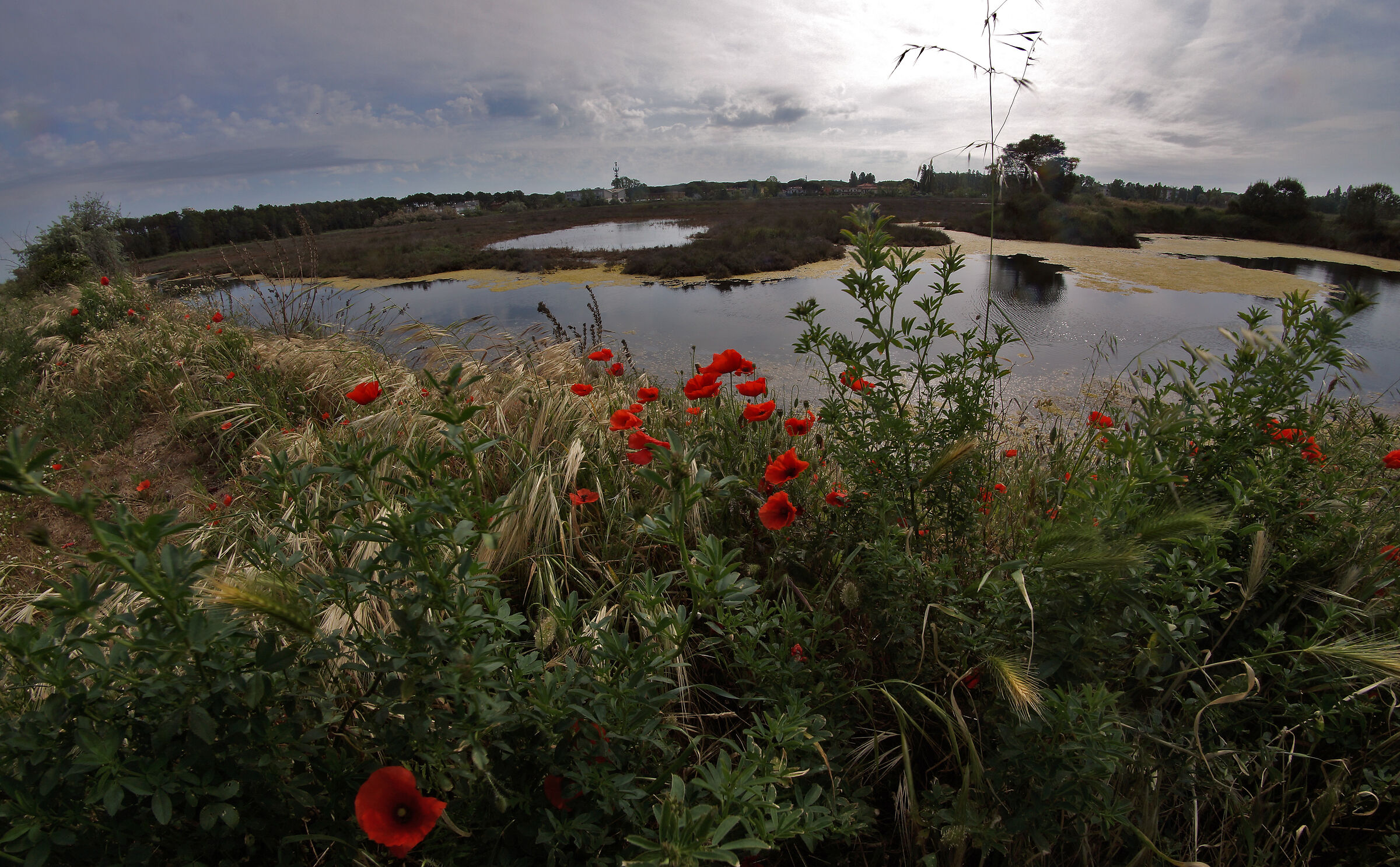 The Mystery of Light