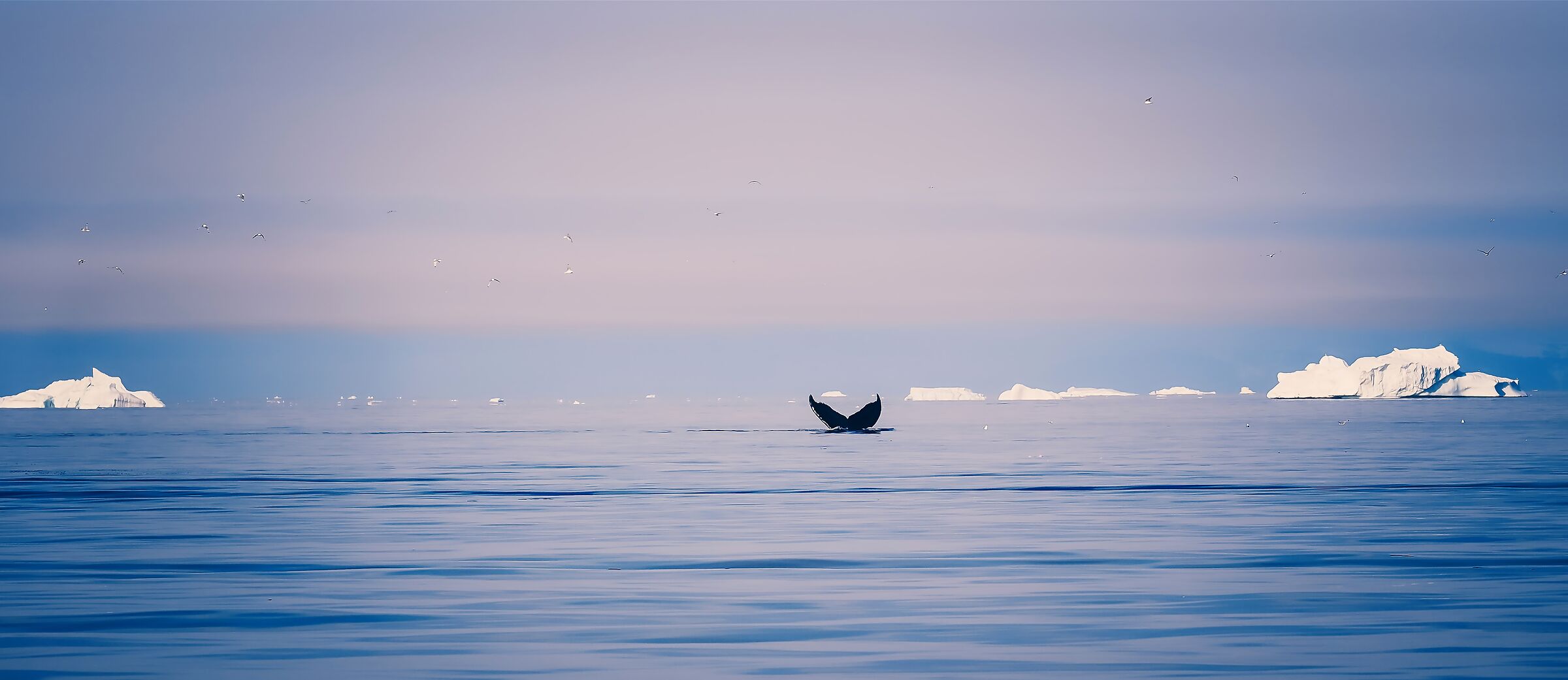 Greenland
