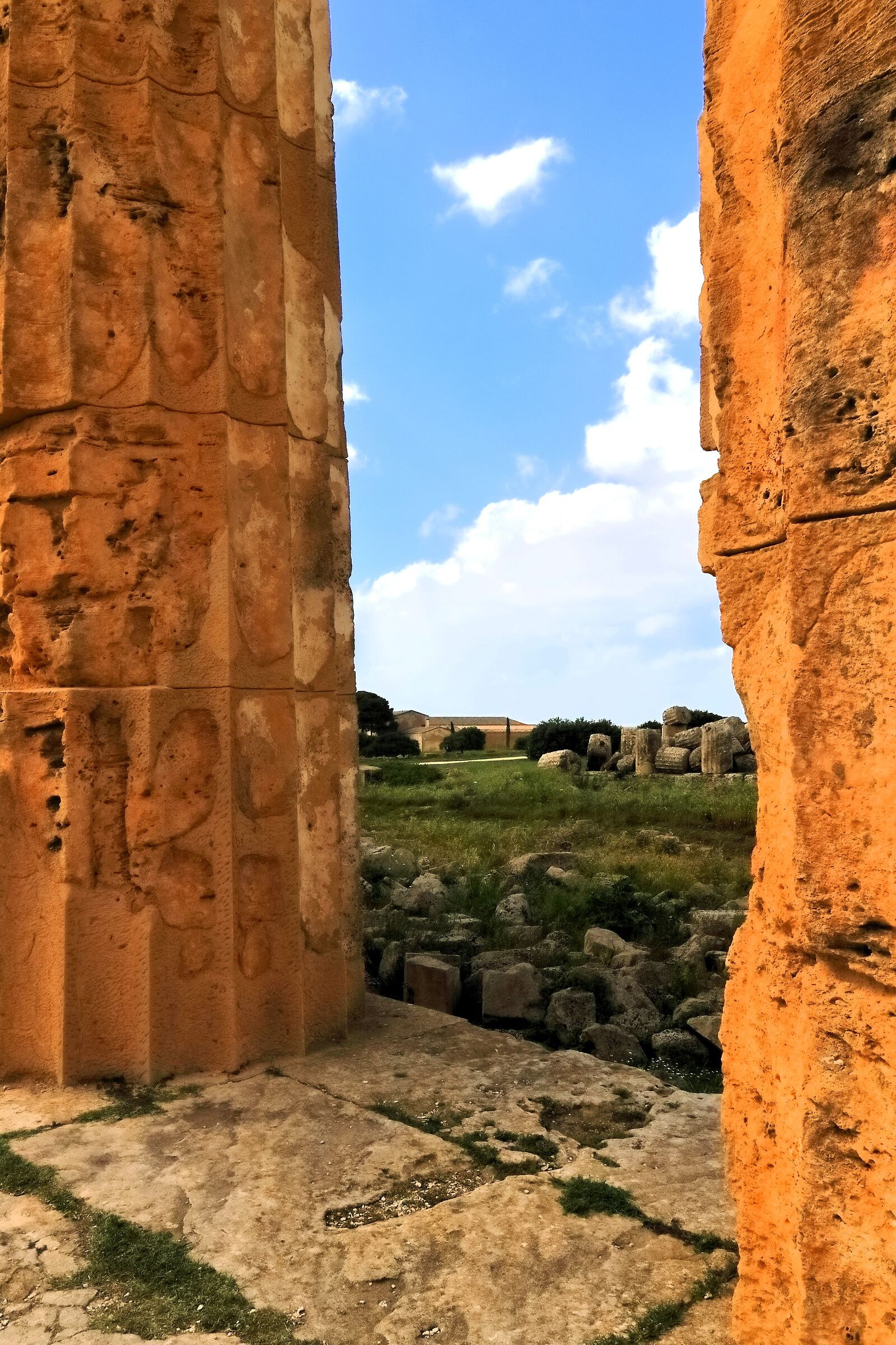 Archaeological Park of Selinunte 17-04-2024 - 0473