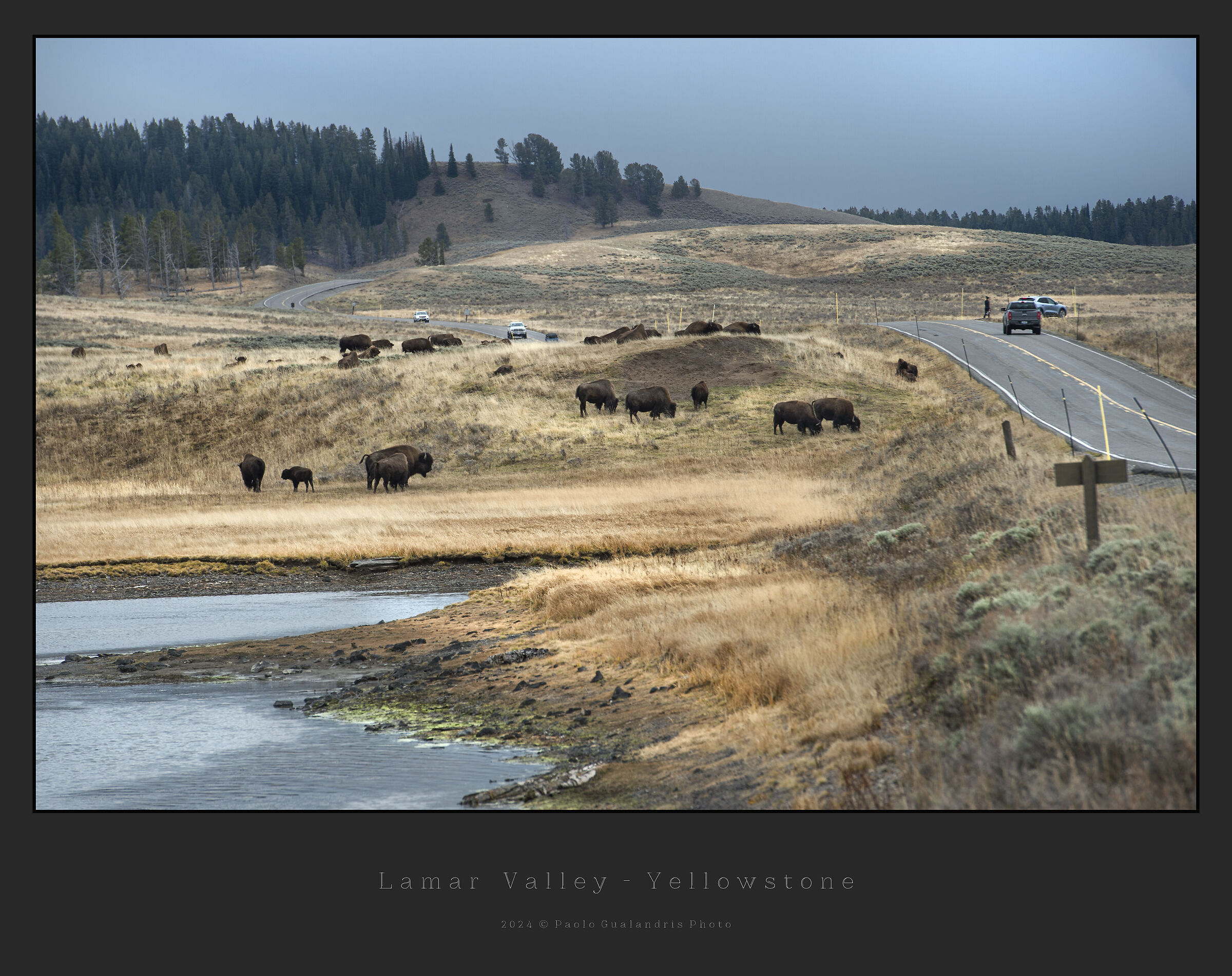 Lamar Valley - Yellowstone