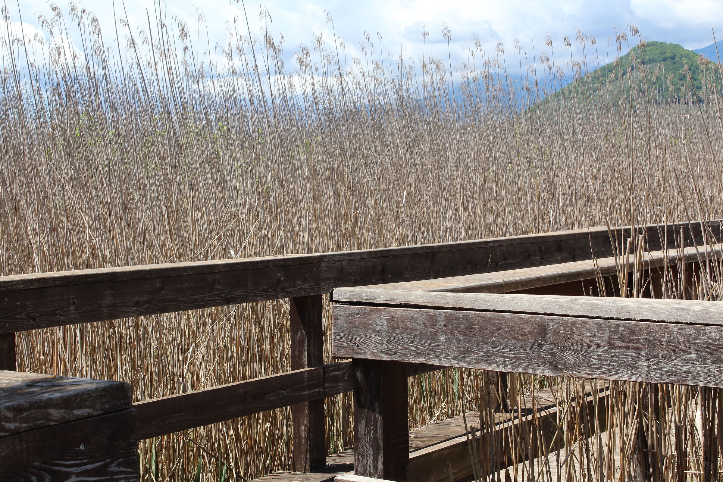 canon EOS 1200d - 18-55mm - Lago di Posta Fibreno (FR)