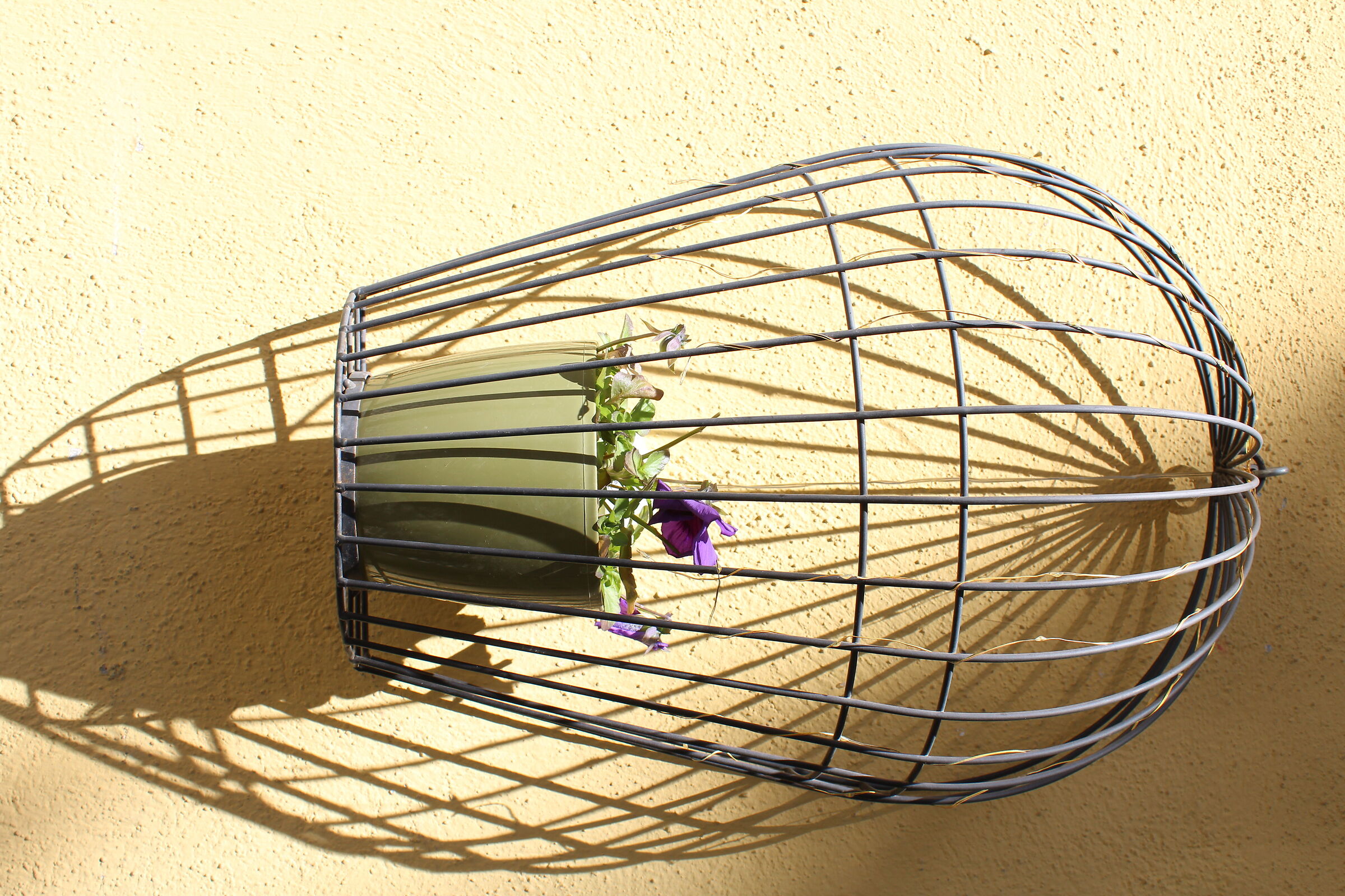 canon EOS 1200d - 18-55mm -Pescasseroli (AQ)