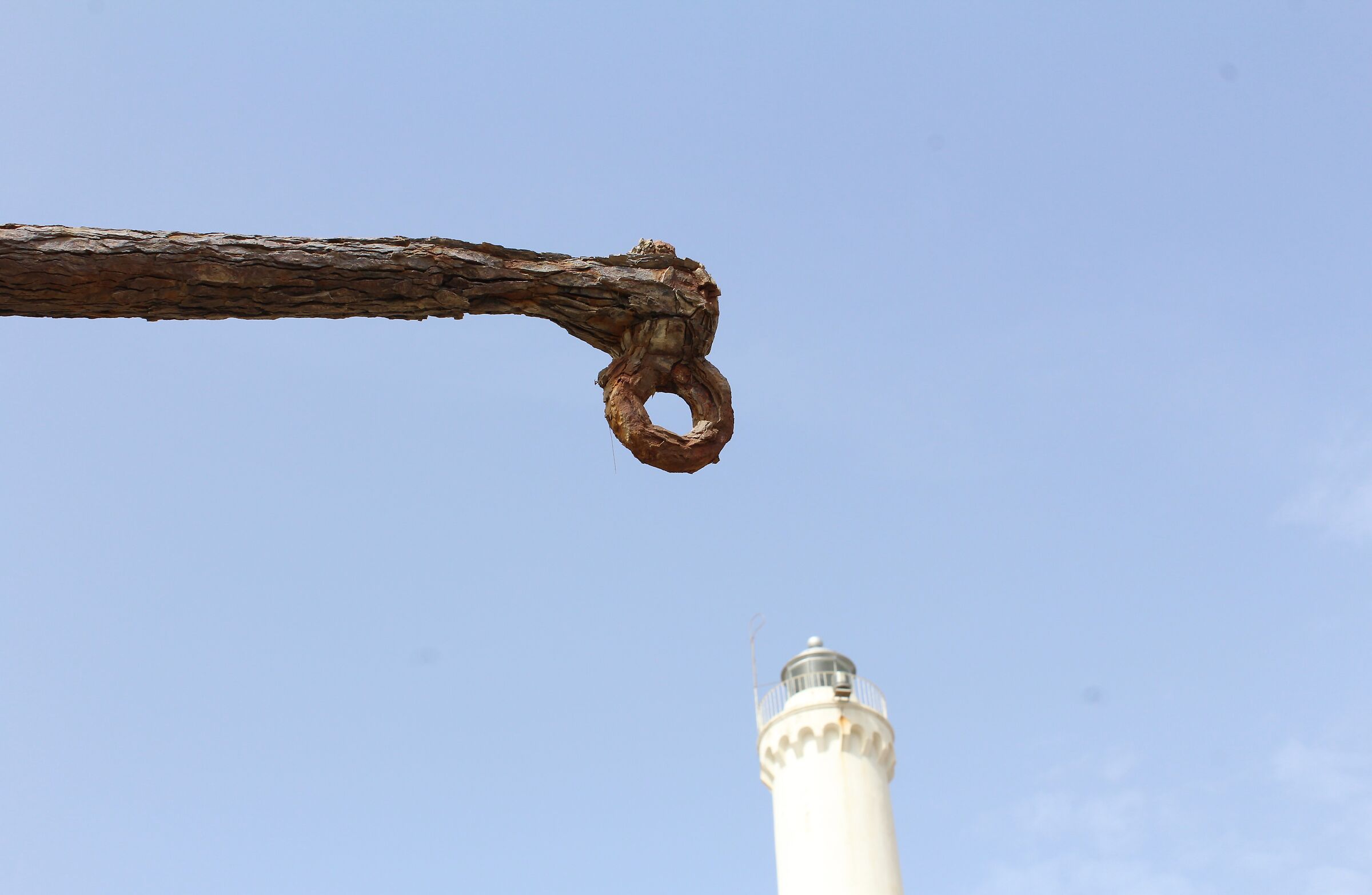 canon EOS 1200d - 18-55mm - Anzio (RM)