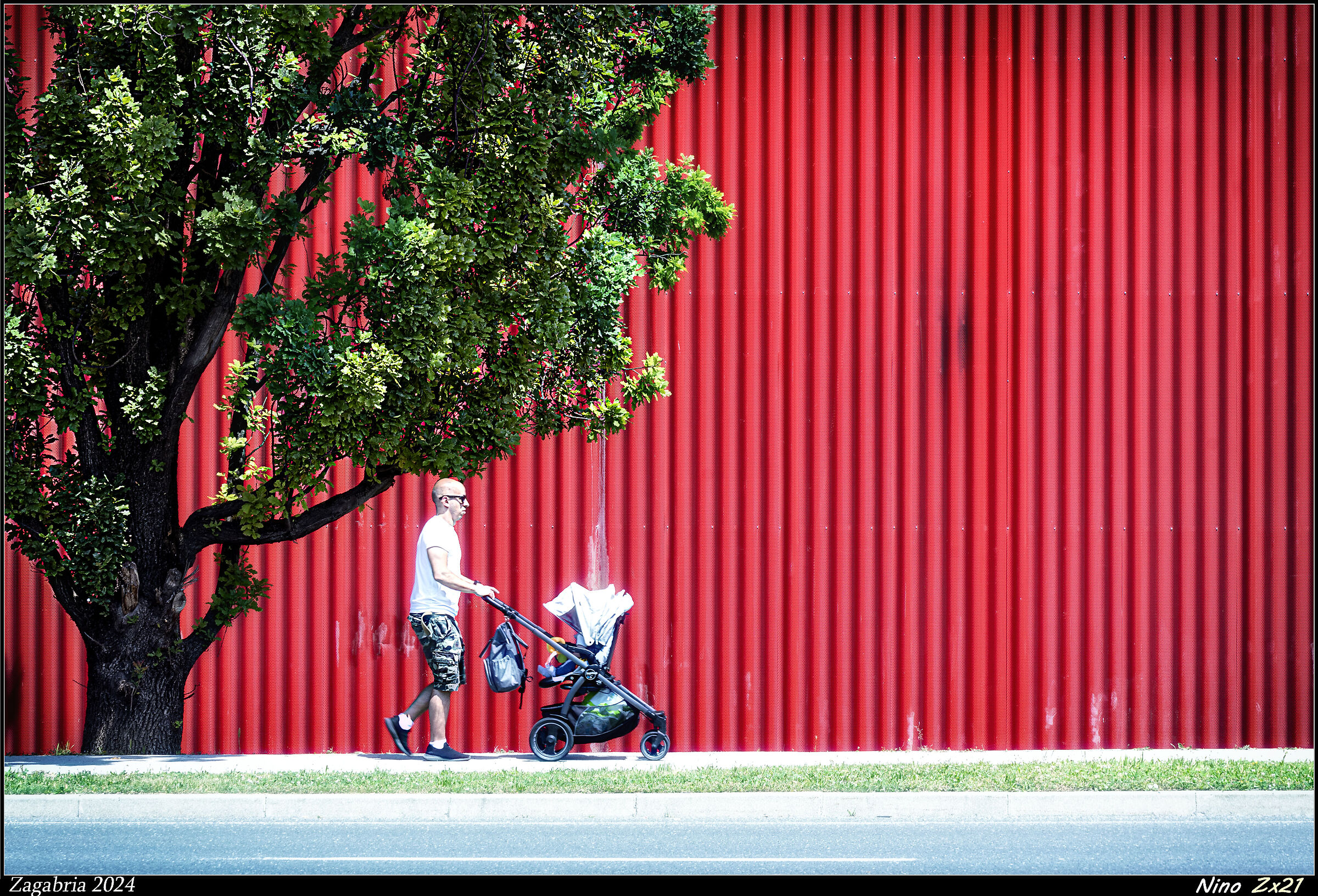 Spring, the season of rebirth