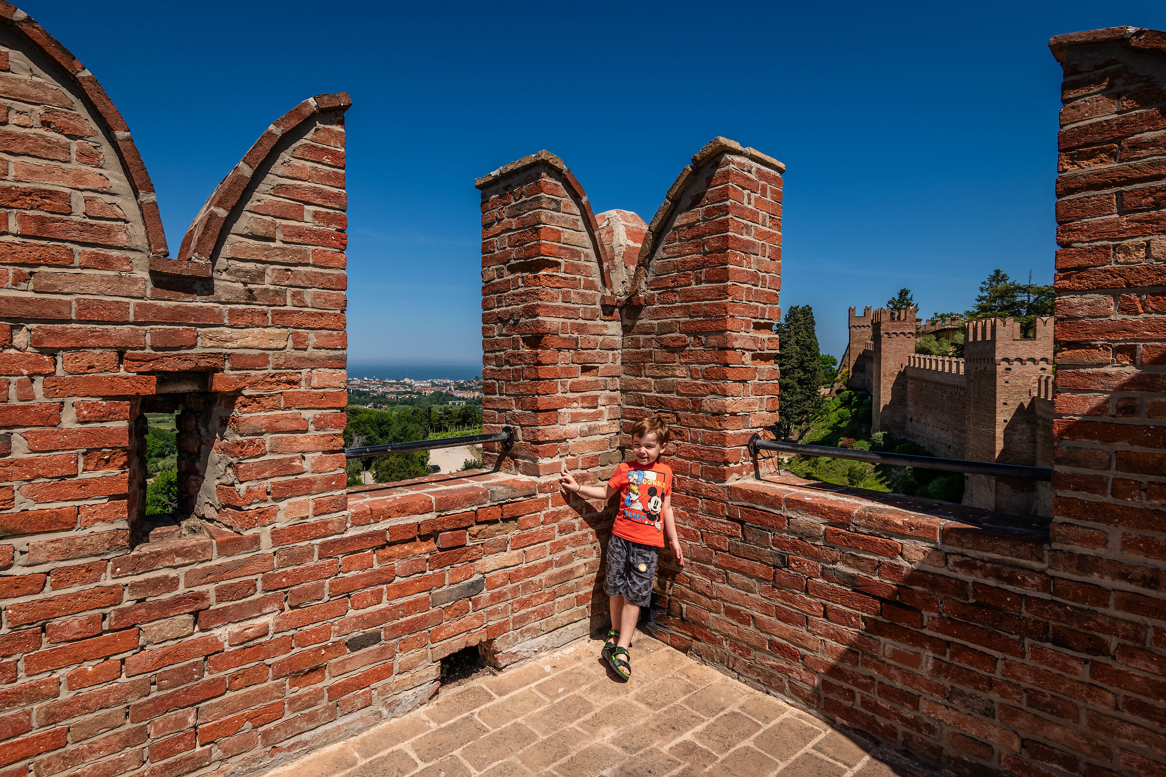 La piccola vedetta...veneta