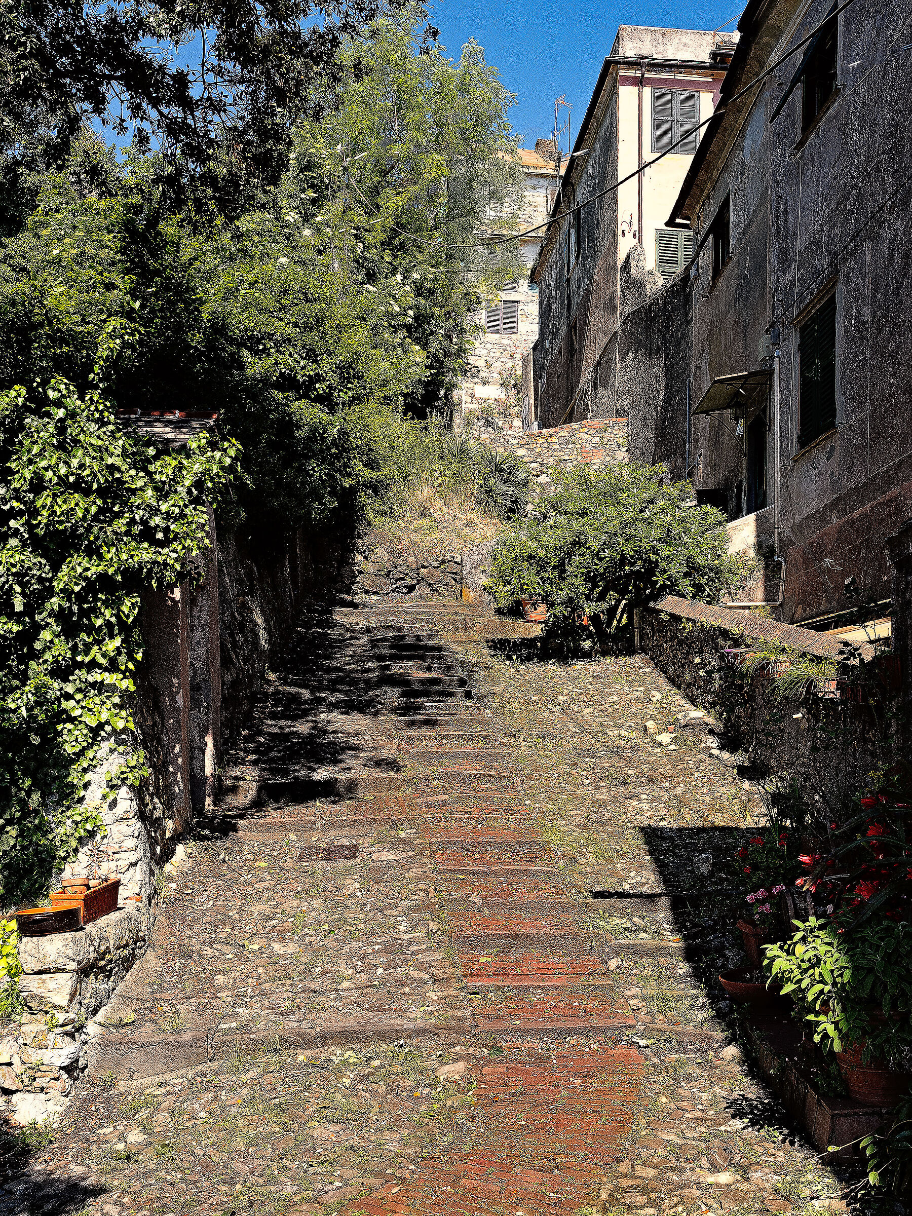 Genoa - Classic Genoese "creuza"