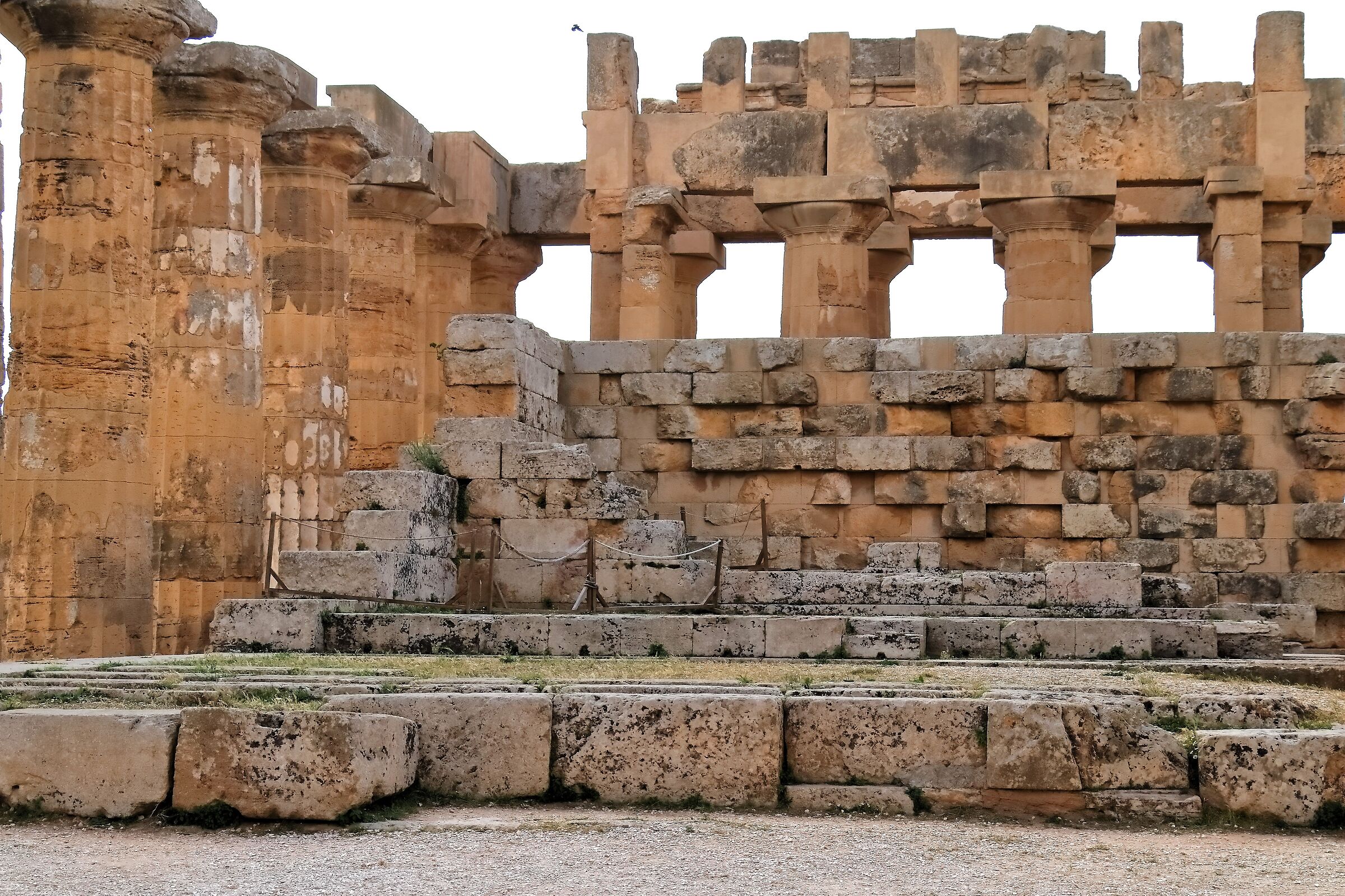 Archaeological Park of Selinunte 17-04-2024 - 0474