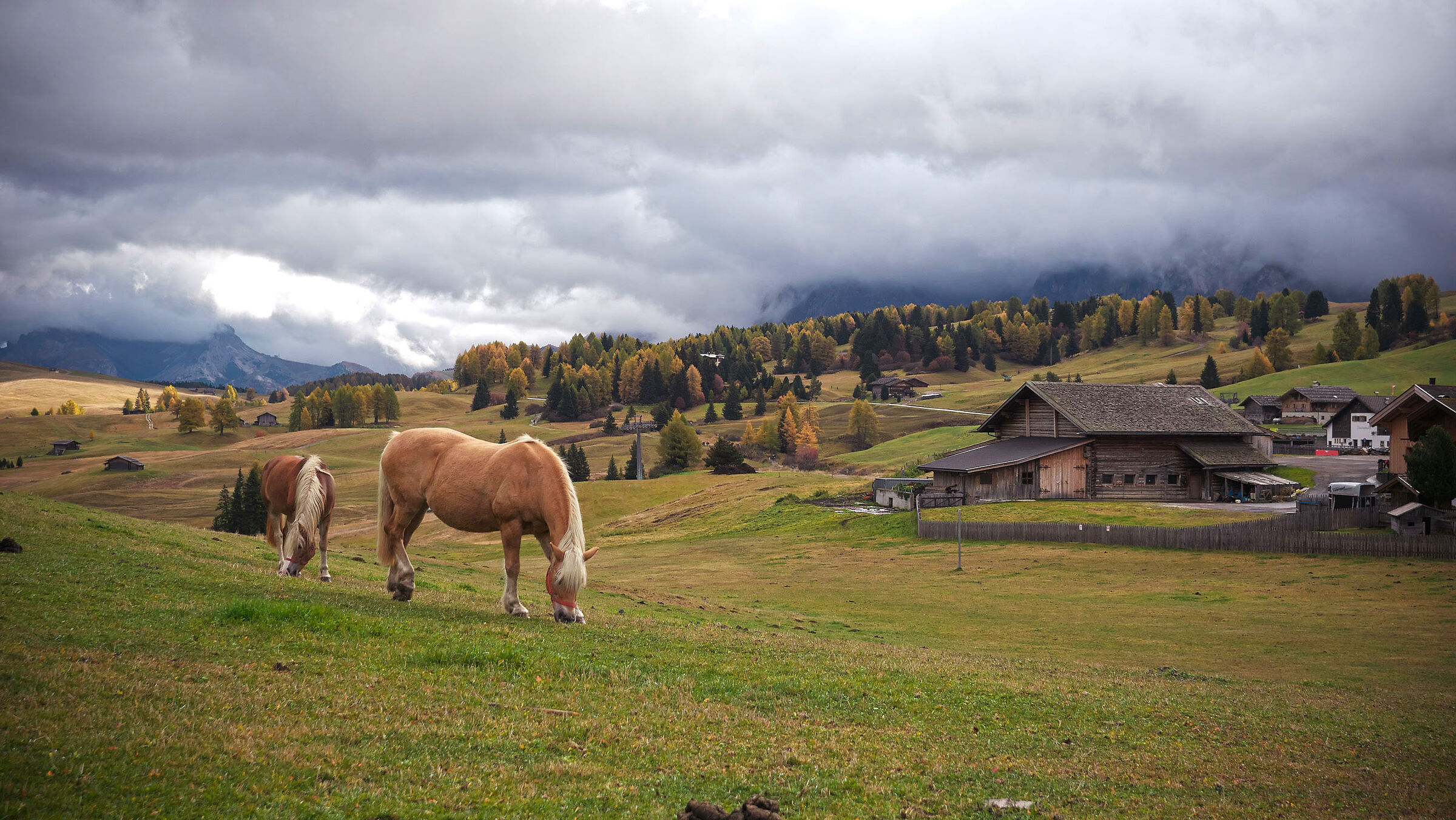 Alpe di Siusi