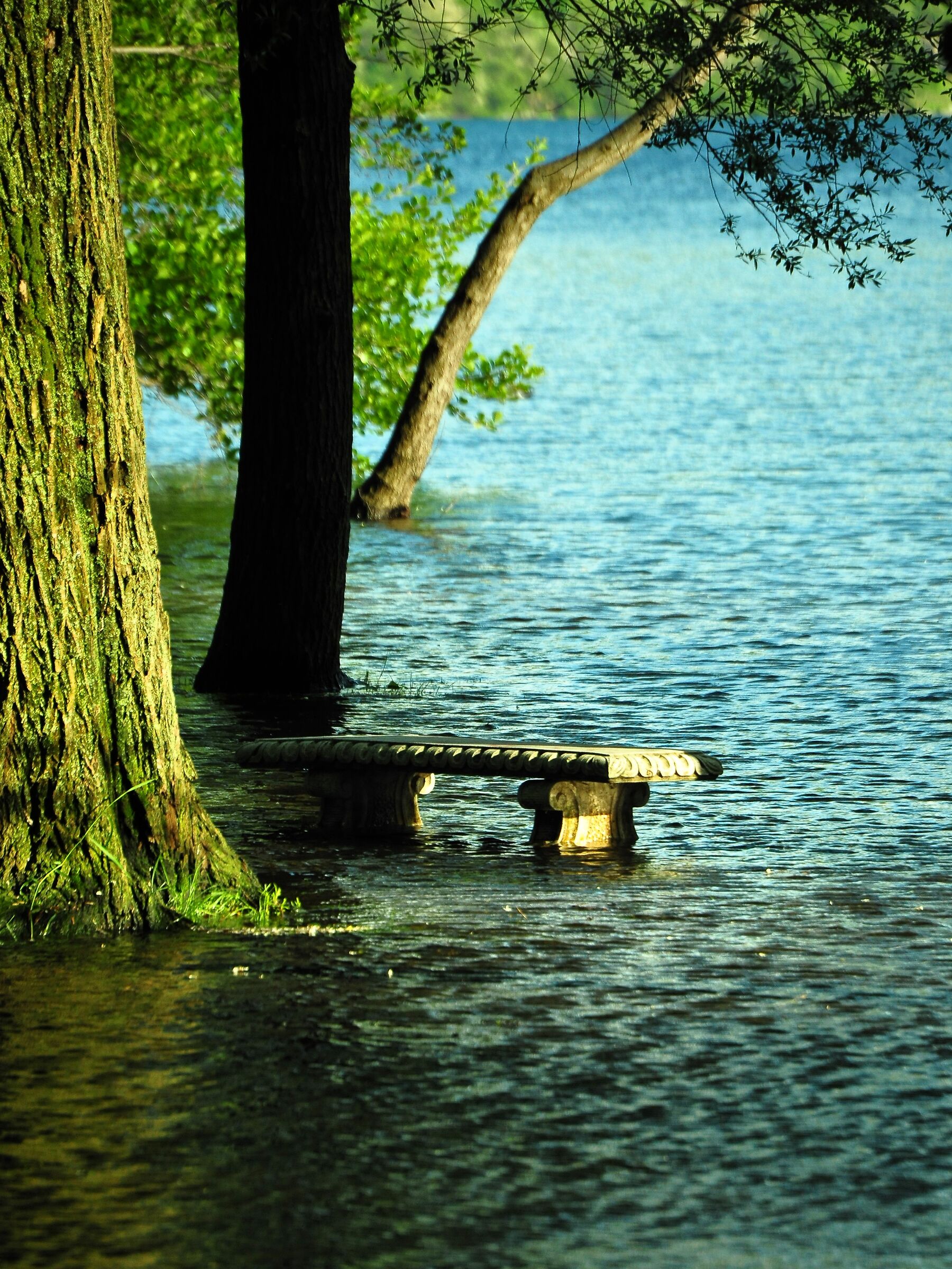 aspettiamo qualche giorno