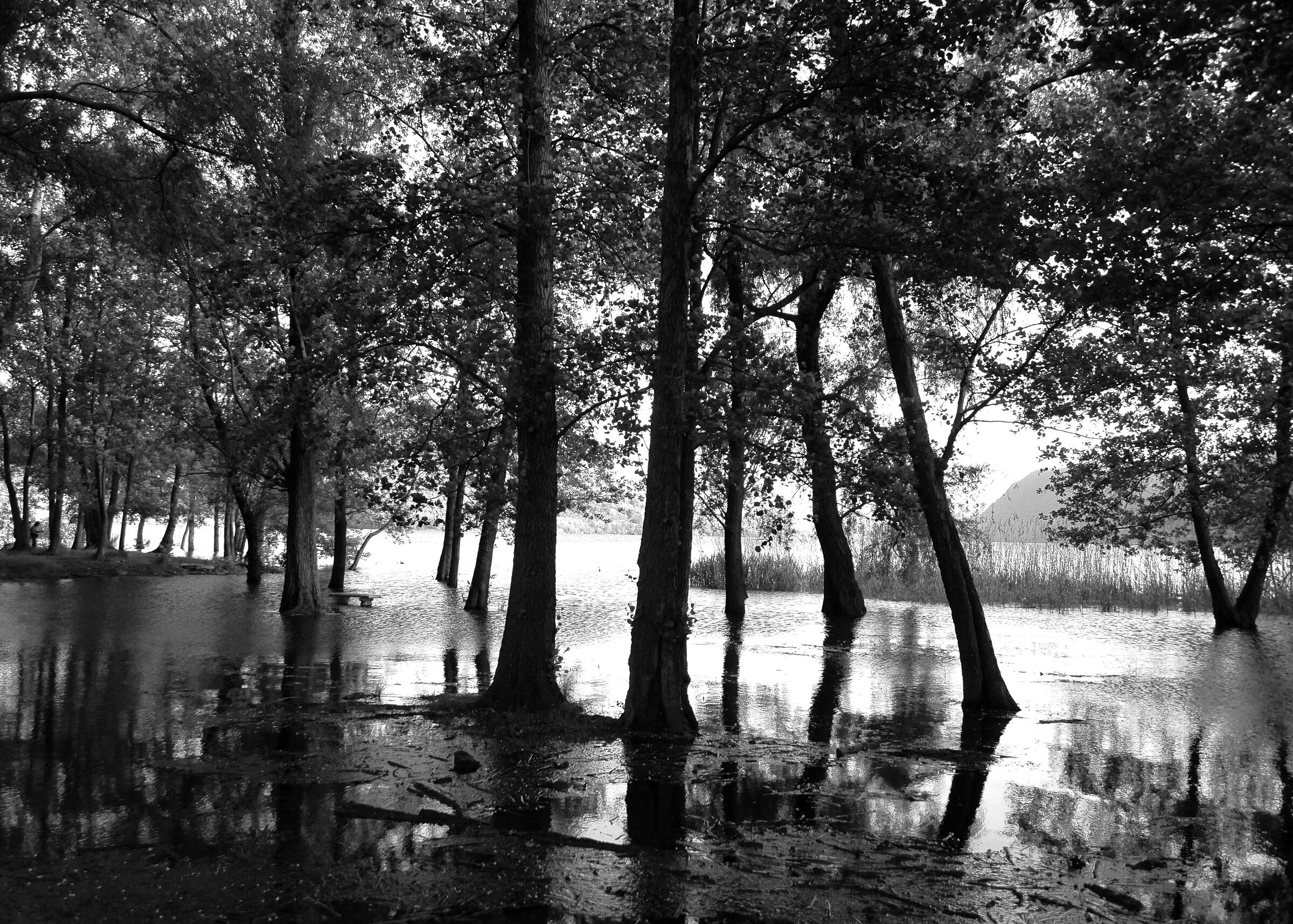 niedriges Wasser