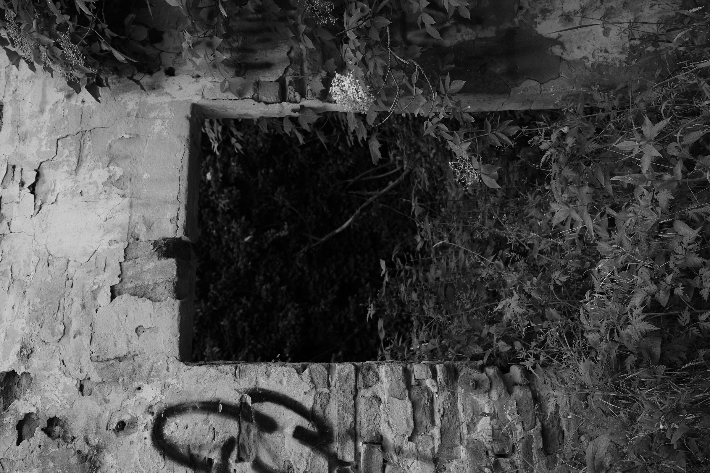 Nature gives itself whole