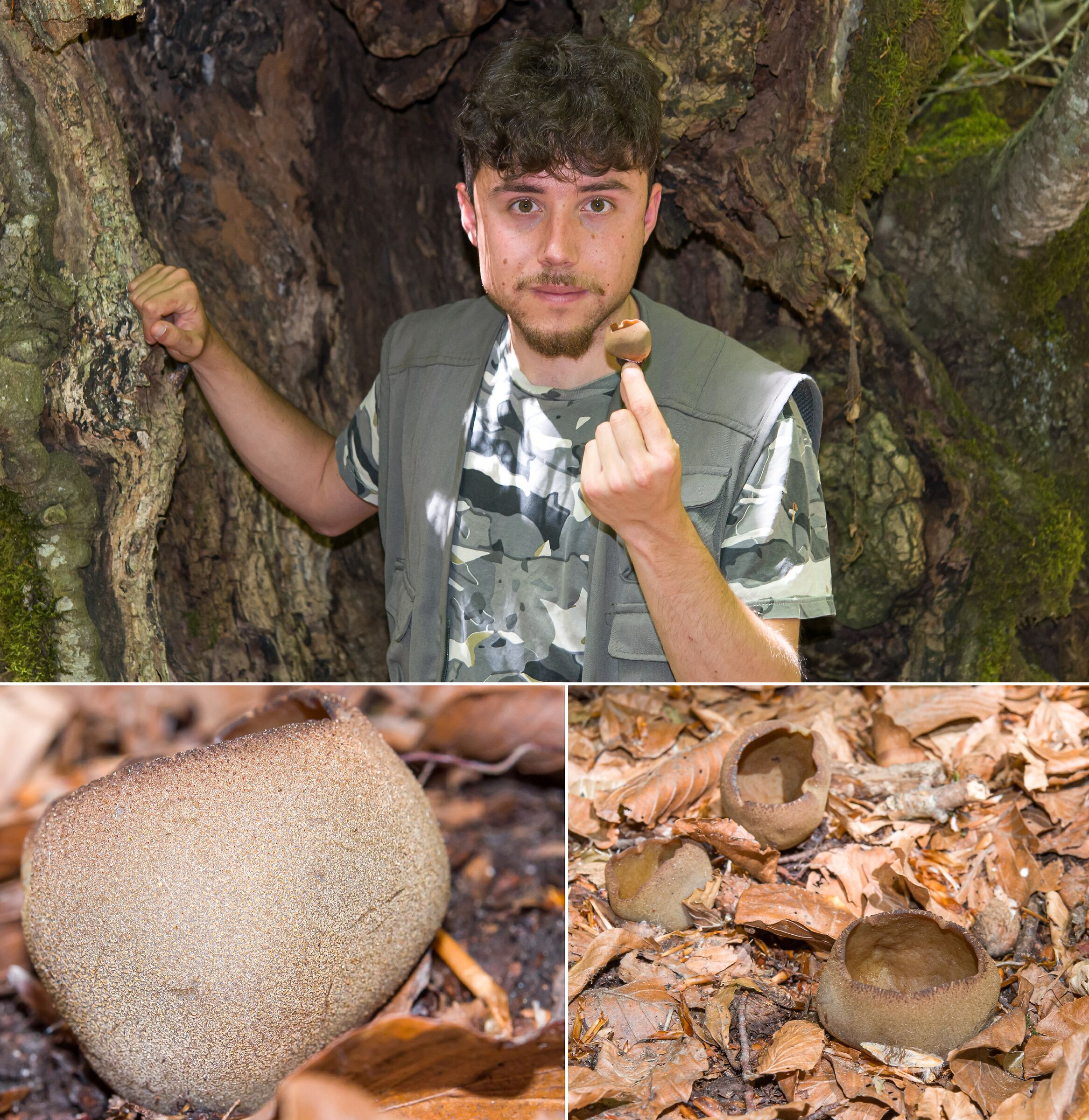 Me together with the Peziza, a particular mushroom