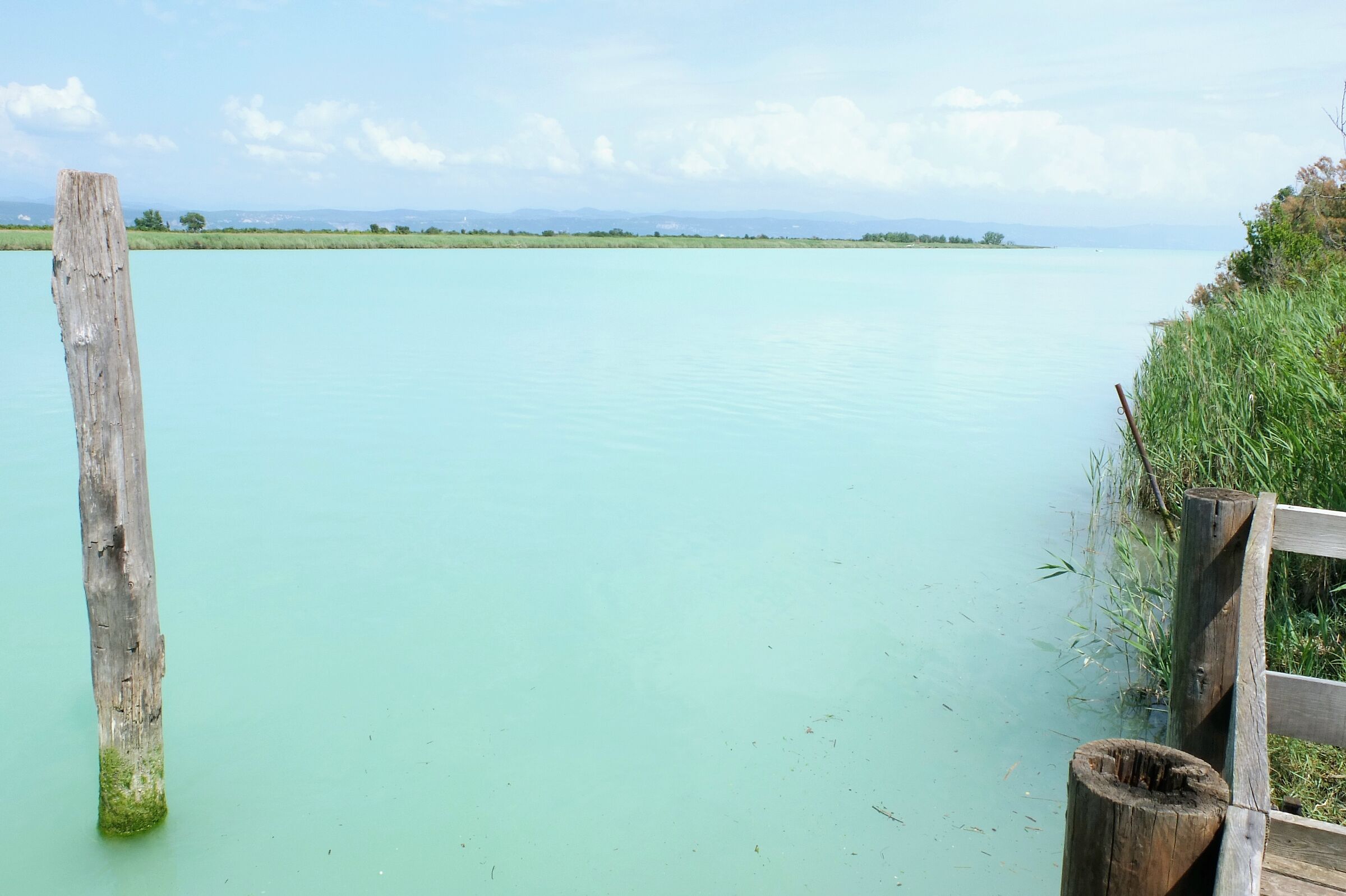 Il fiume Isonzo a pochi passi dal mare