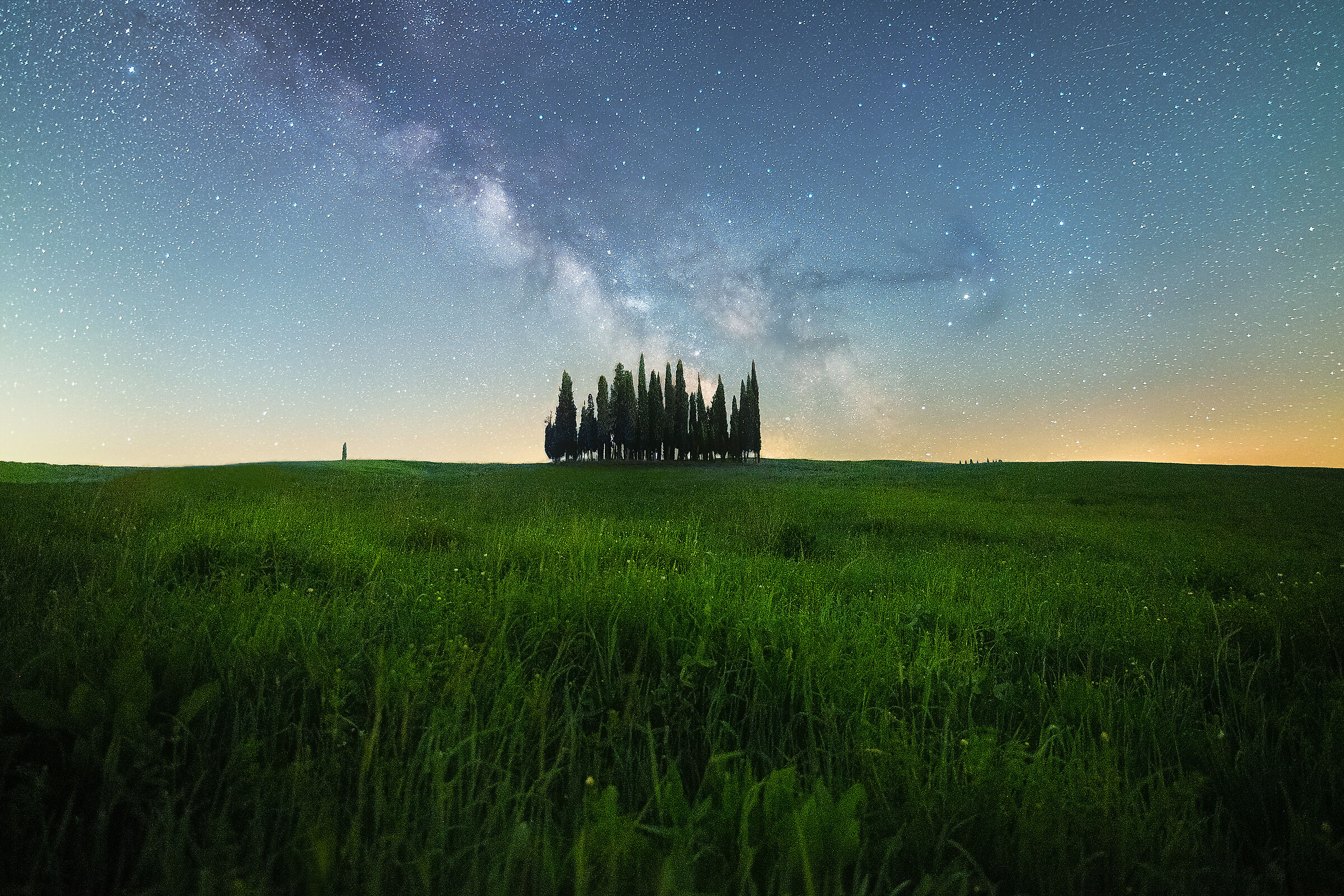 Milky Way and cypresses