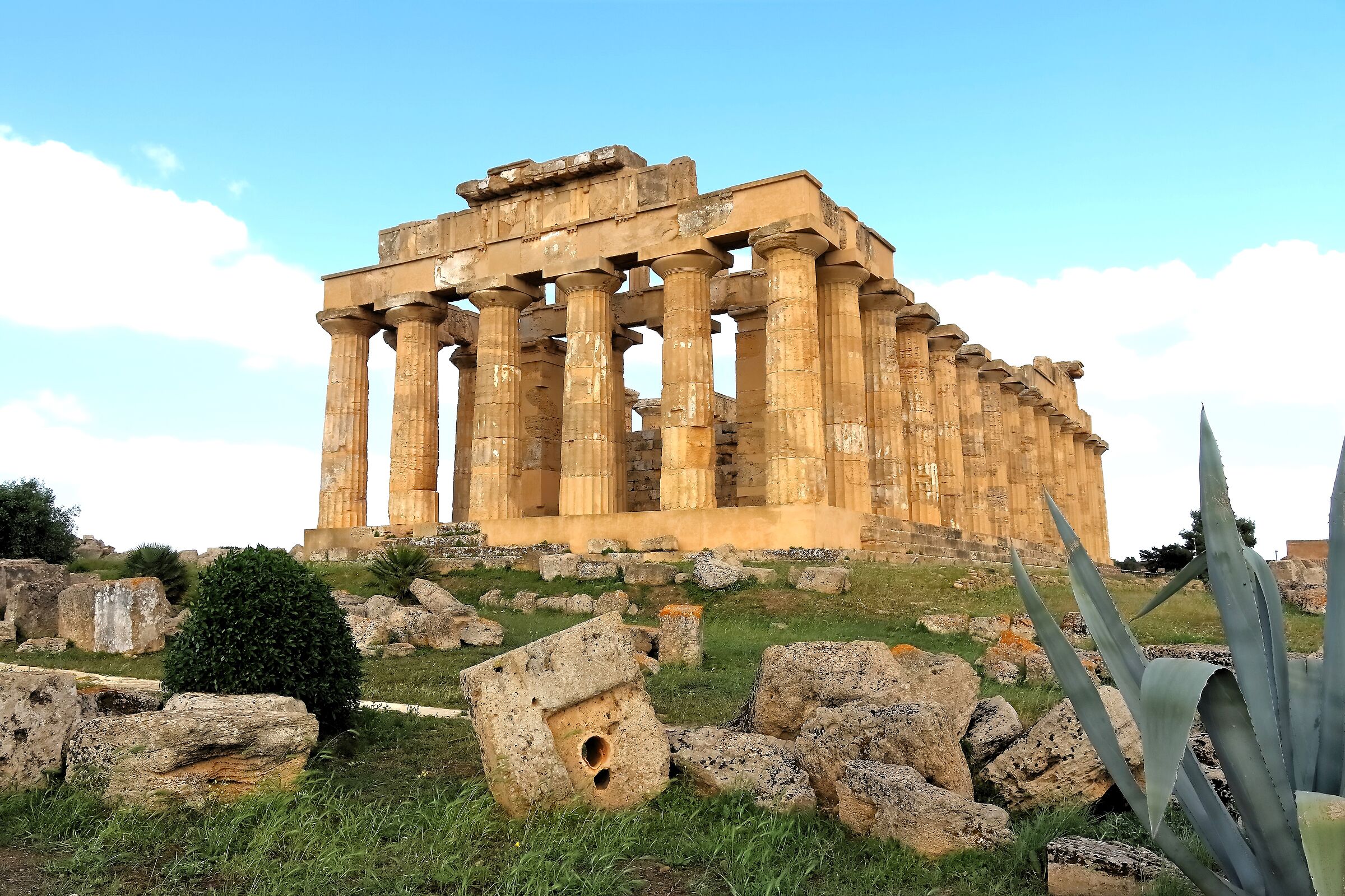 Archaeological Park of Selinunte 17-04-2024 - 0488