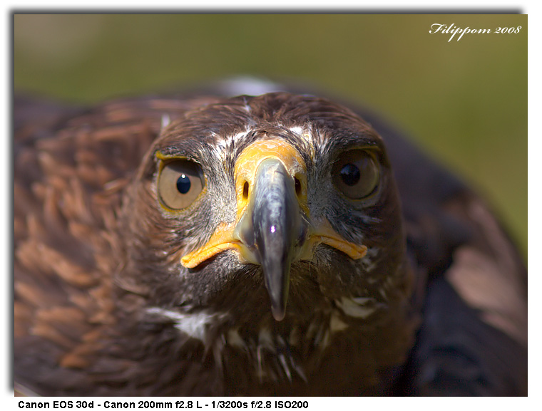 What are you watching?