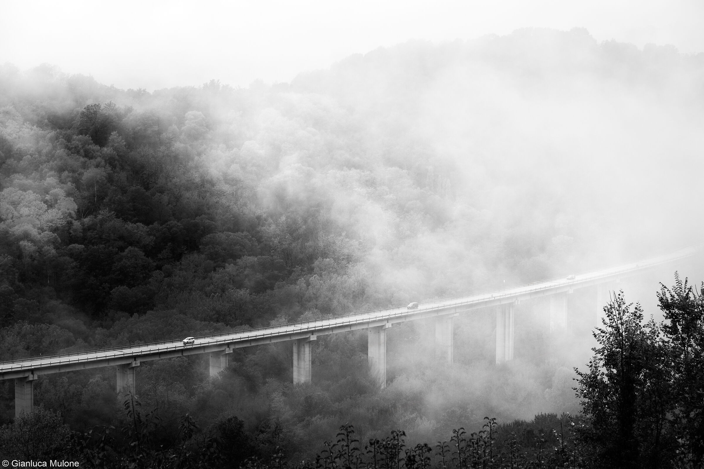 Tra la nebbia