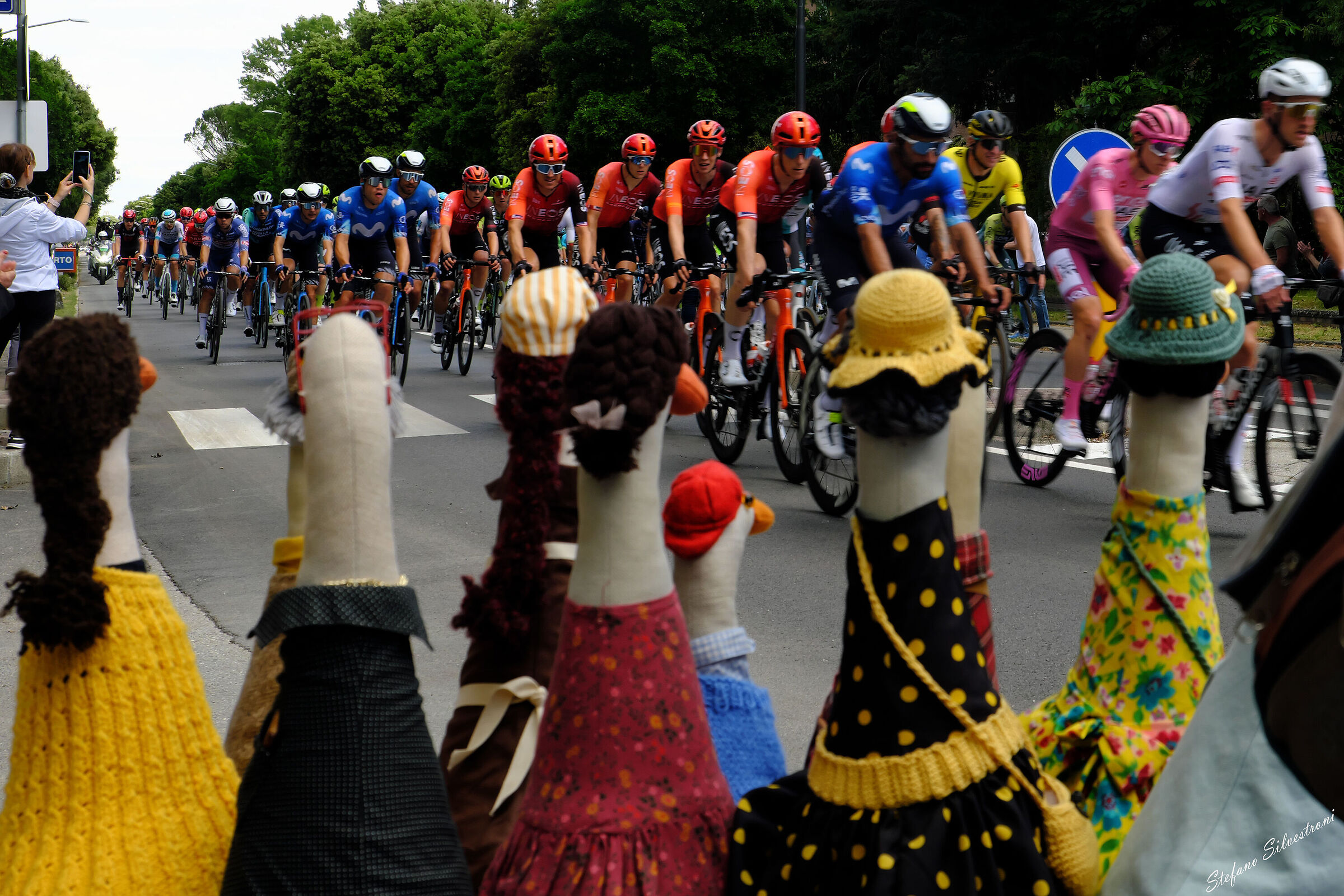 Everyone loves the Giro