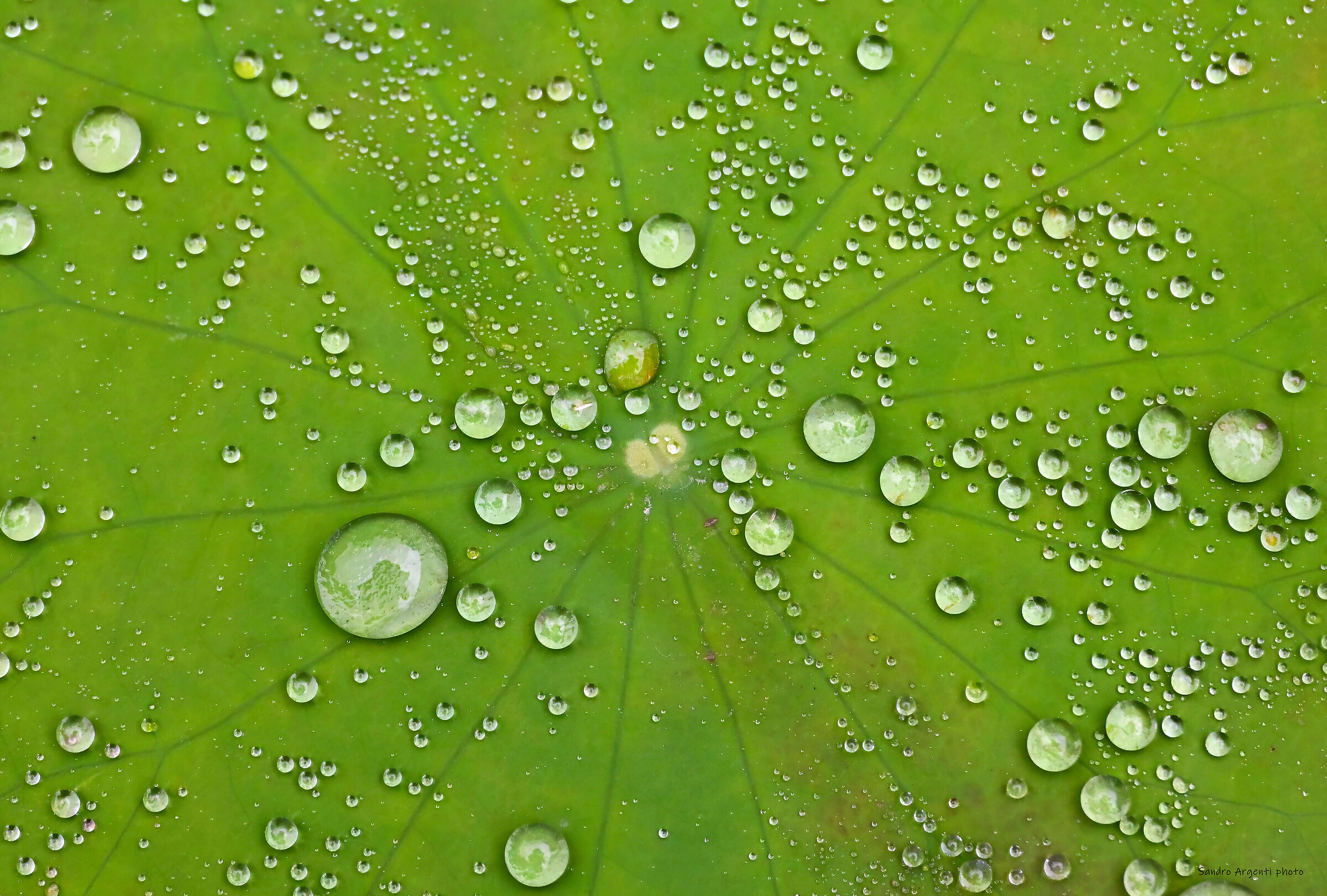 Una esplosione di gocce d'acqua. Vietnam.