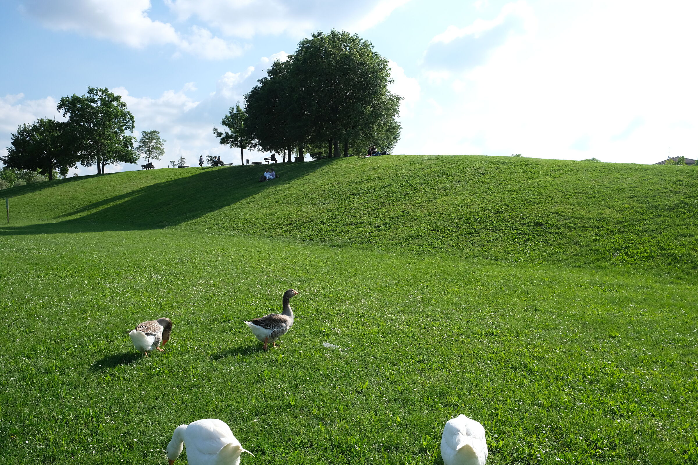 At the park