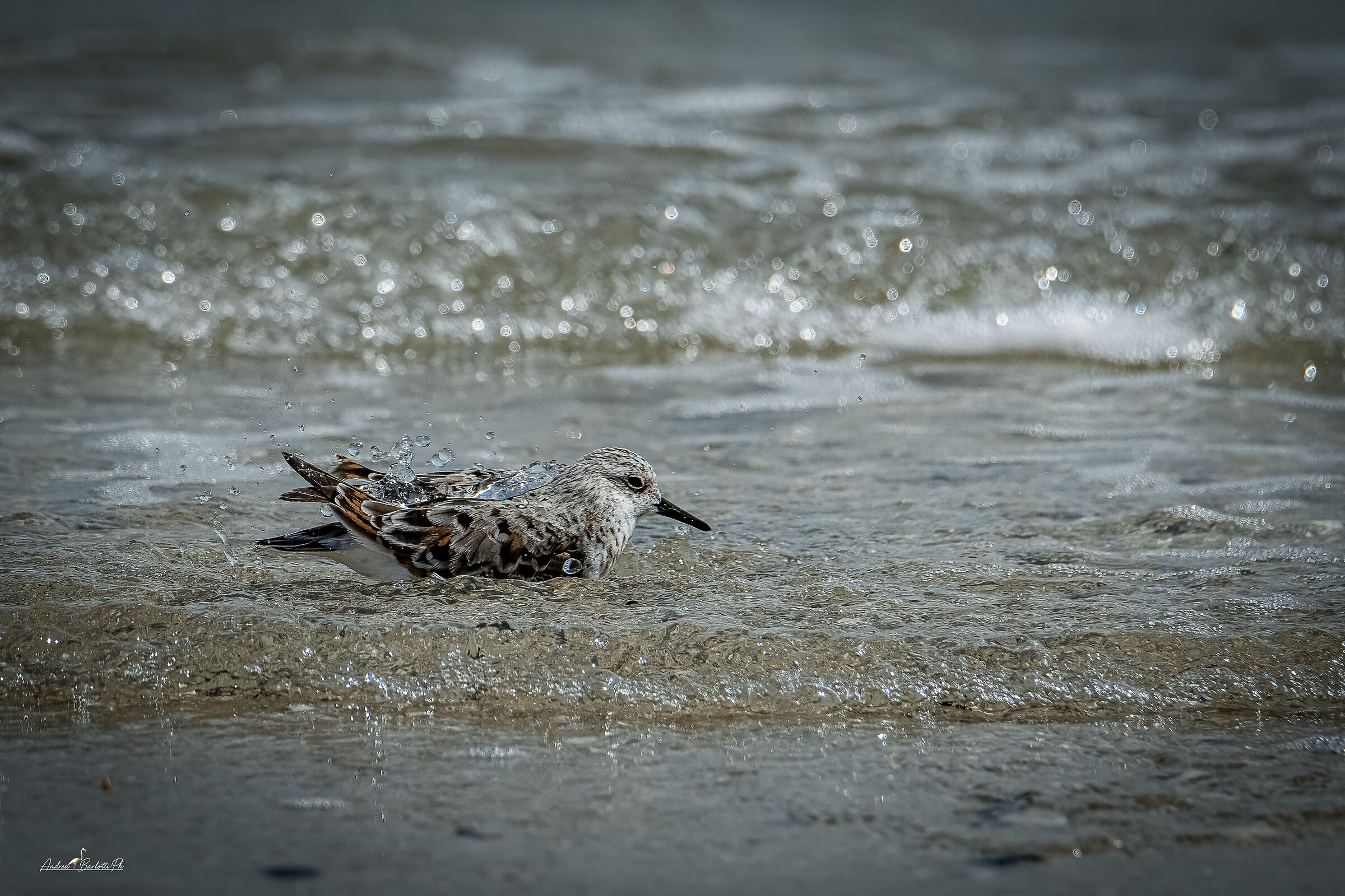 Bathing by the sea