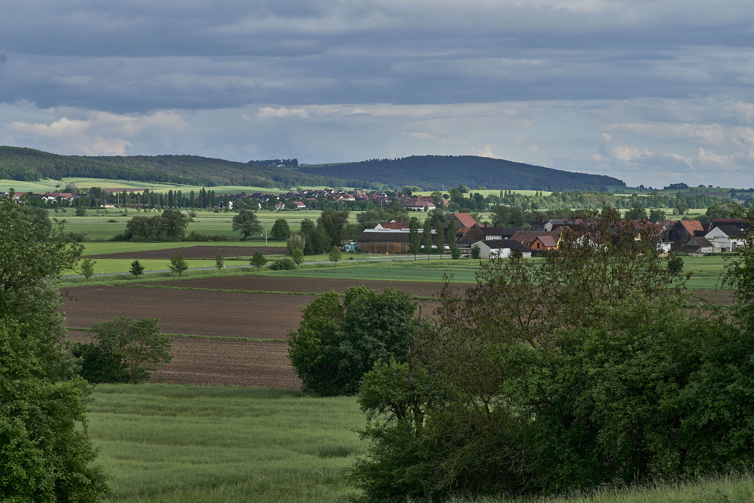 Tra Bamberga e Coburgo