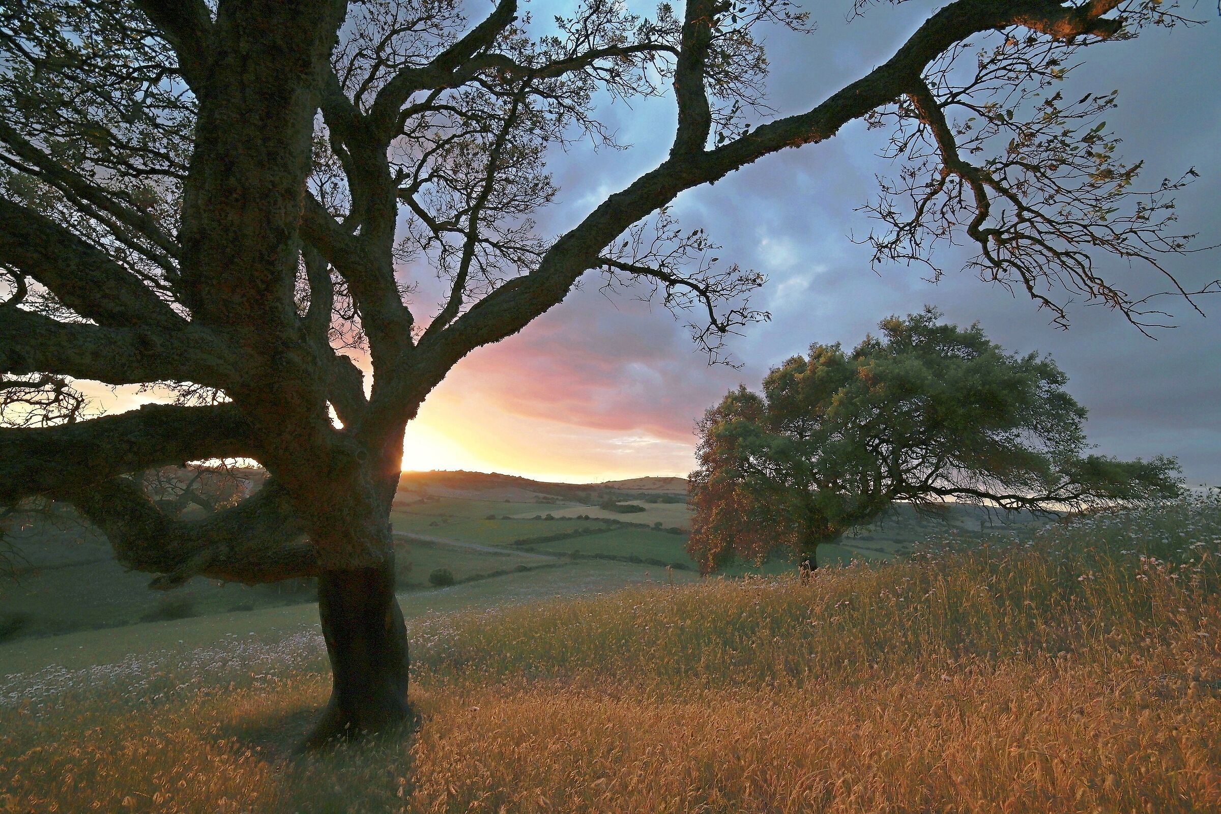 Sunset in Alta Marmilla