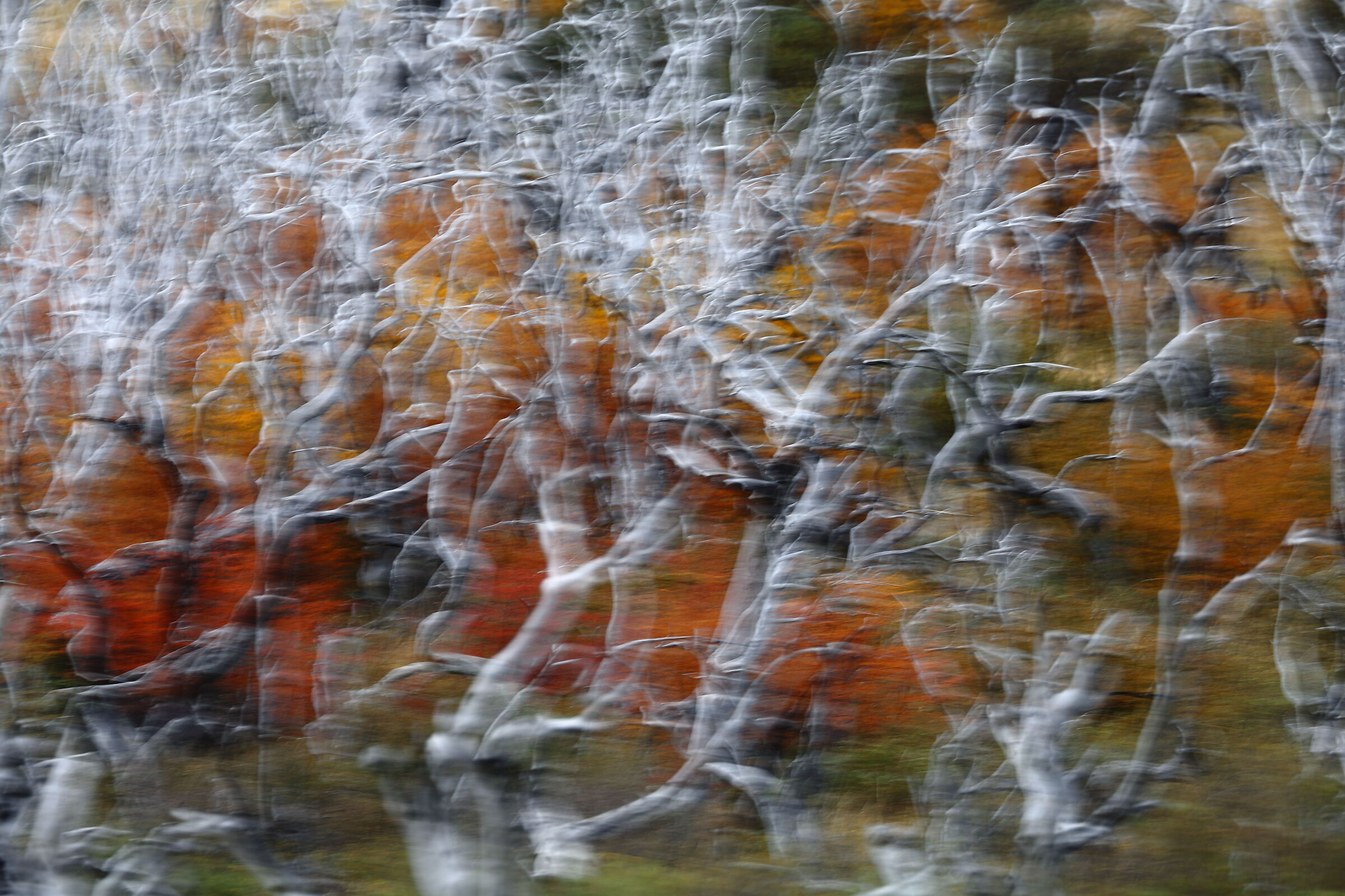 Visione psichedelica