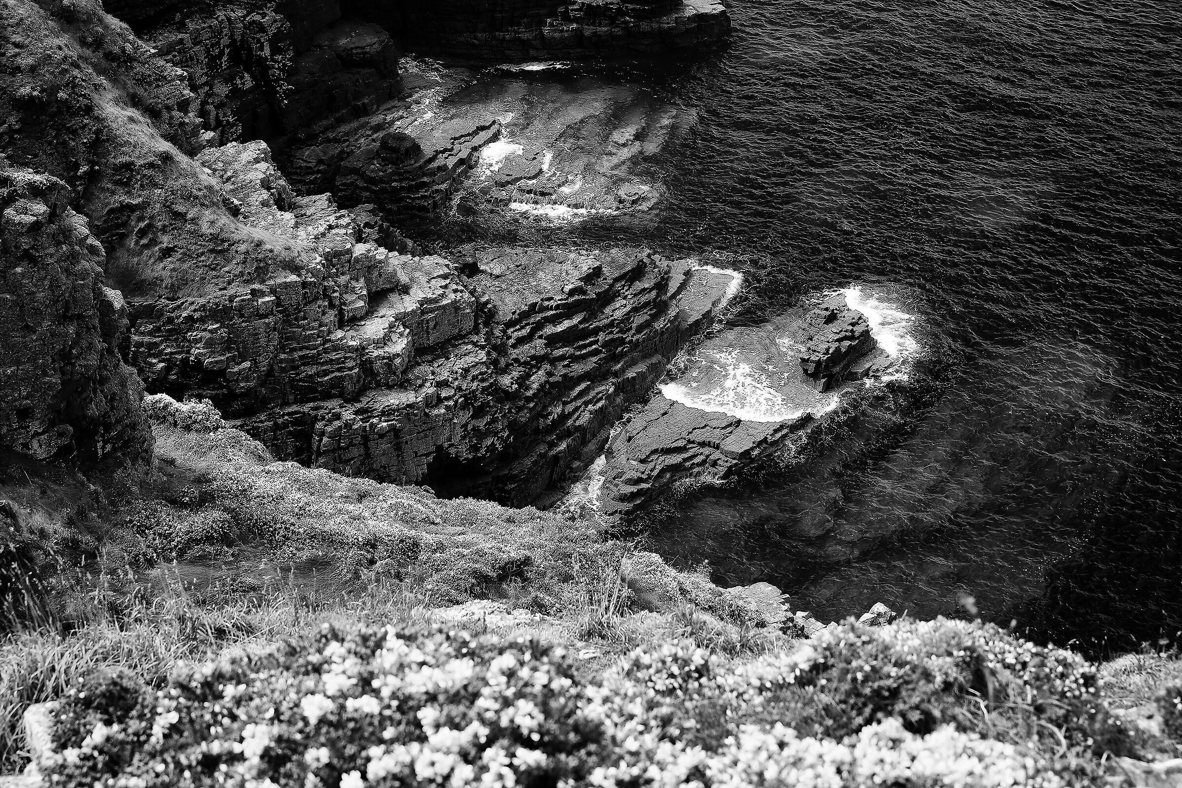 Untitled Photo