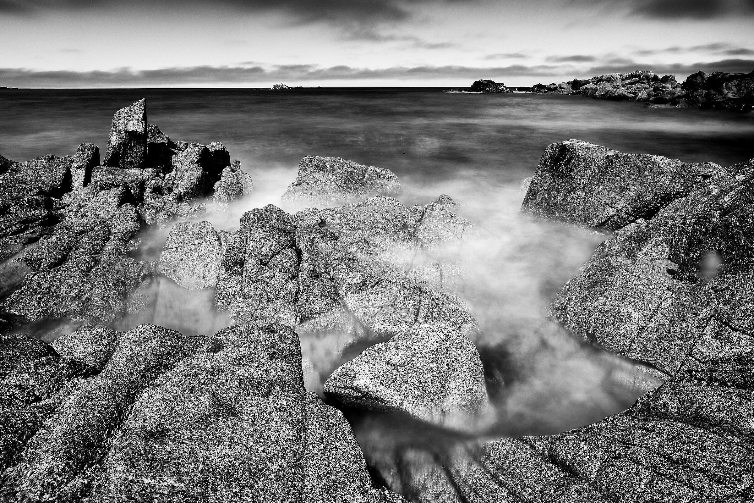 Untitled Photo