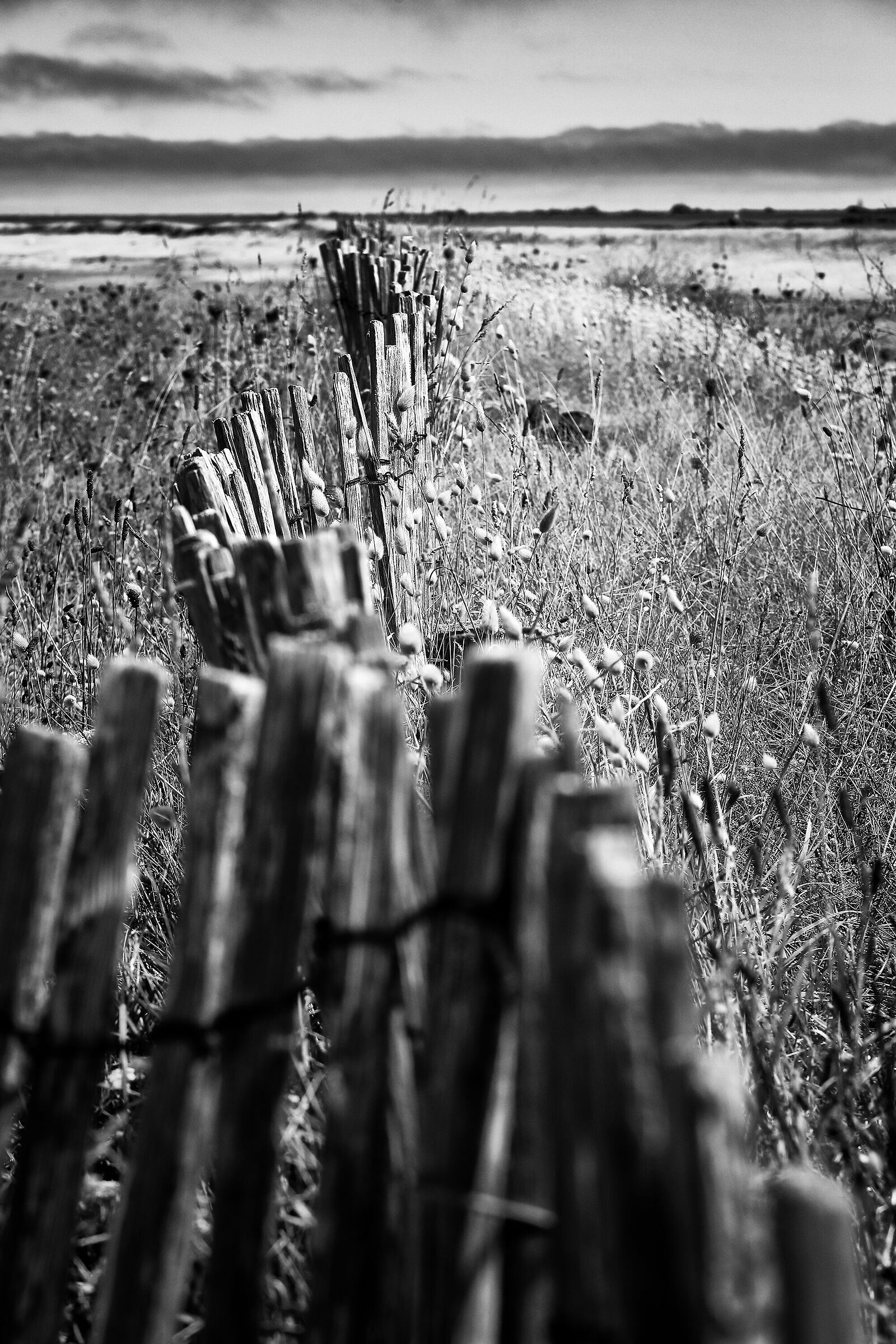 Untitled Photo