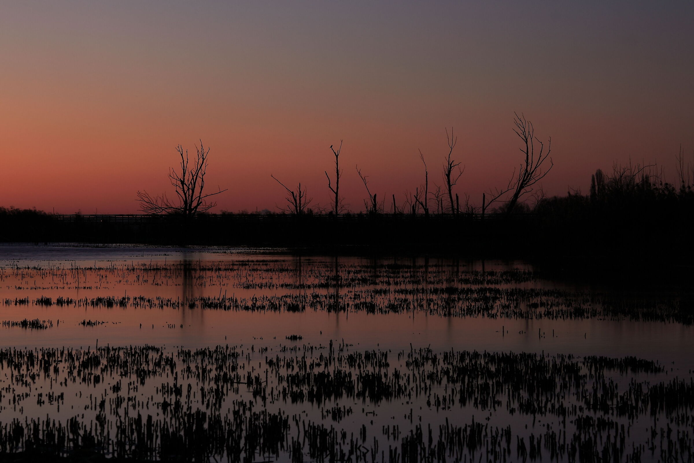 The La Valle Nature Oasis dresses up as a legend...
