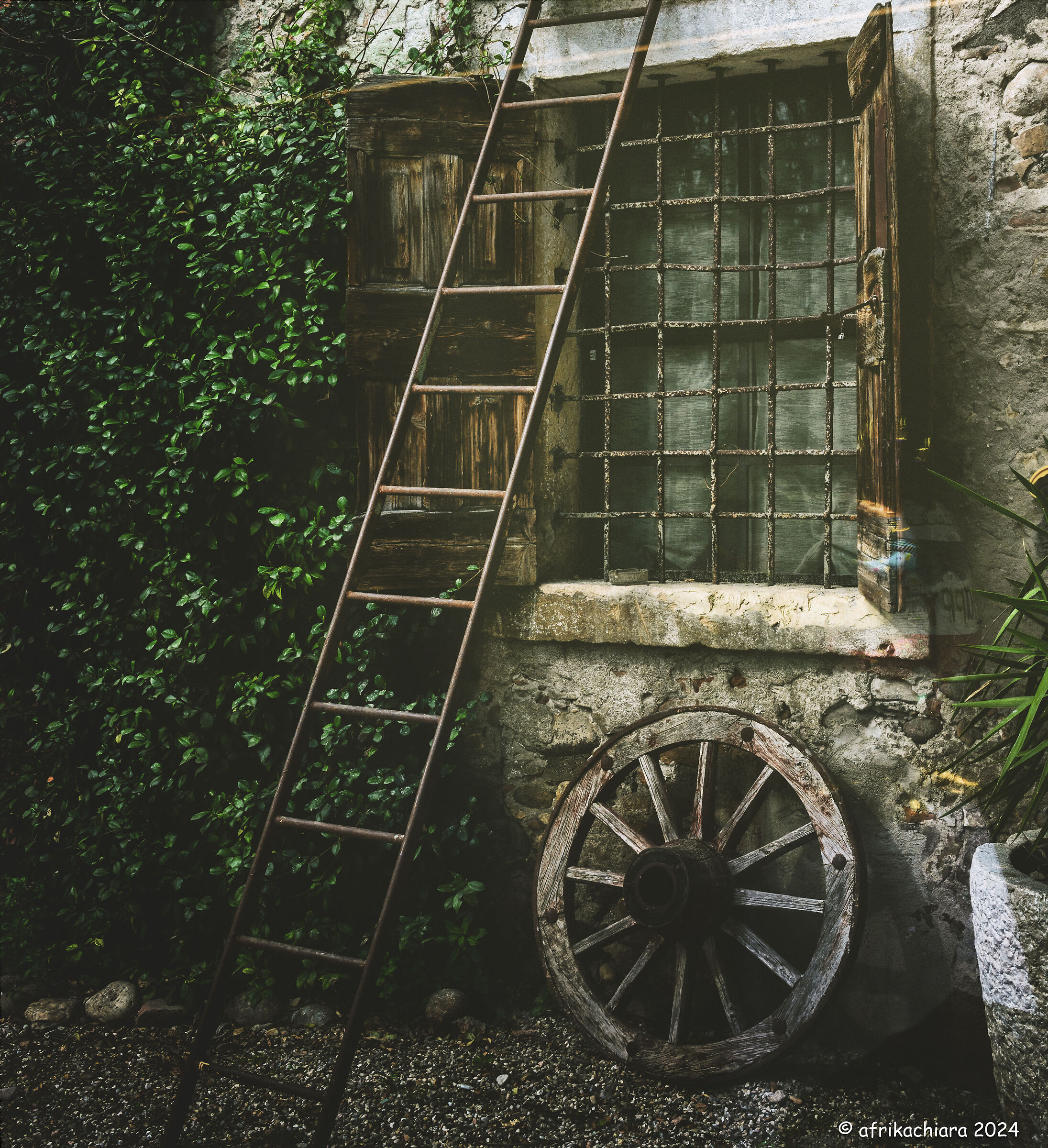 I simboli della vita...