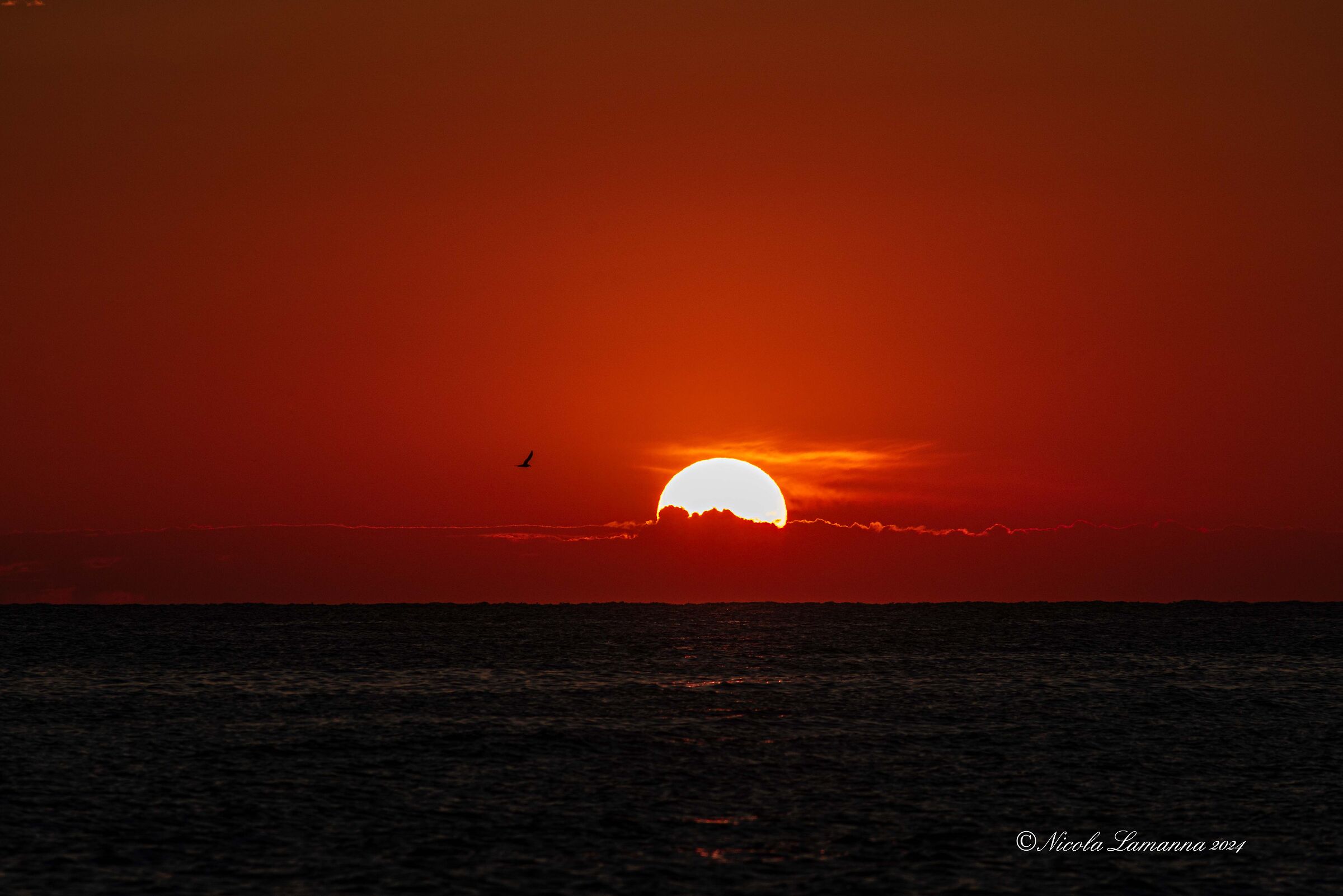 Dawn.