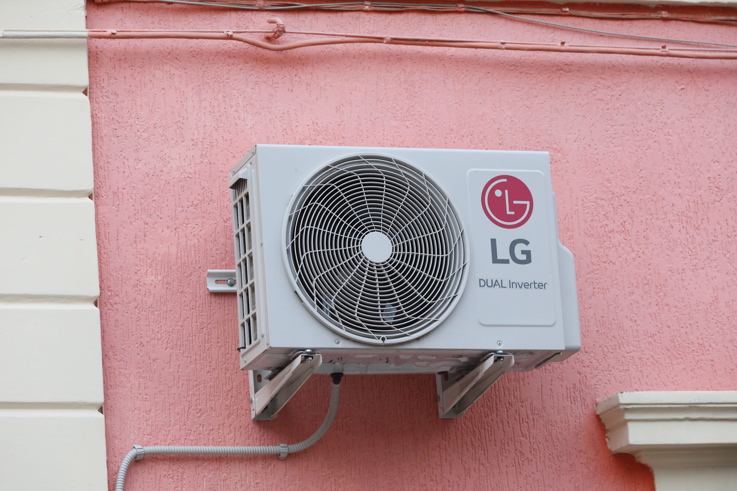 " Crop 189 " Canon 5 D IV- 135 F. 2 L Usm+ TC 1.4 ...