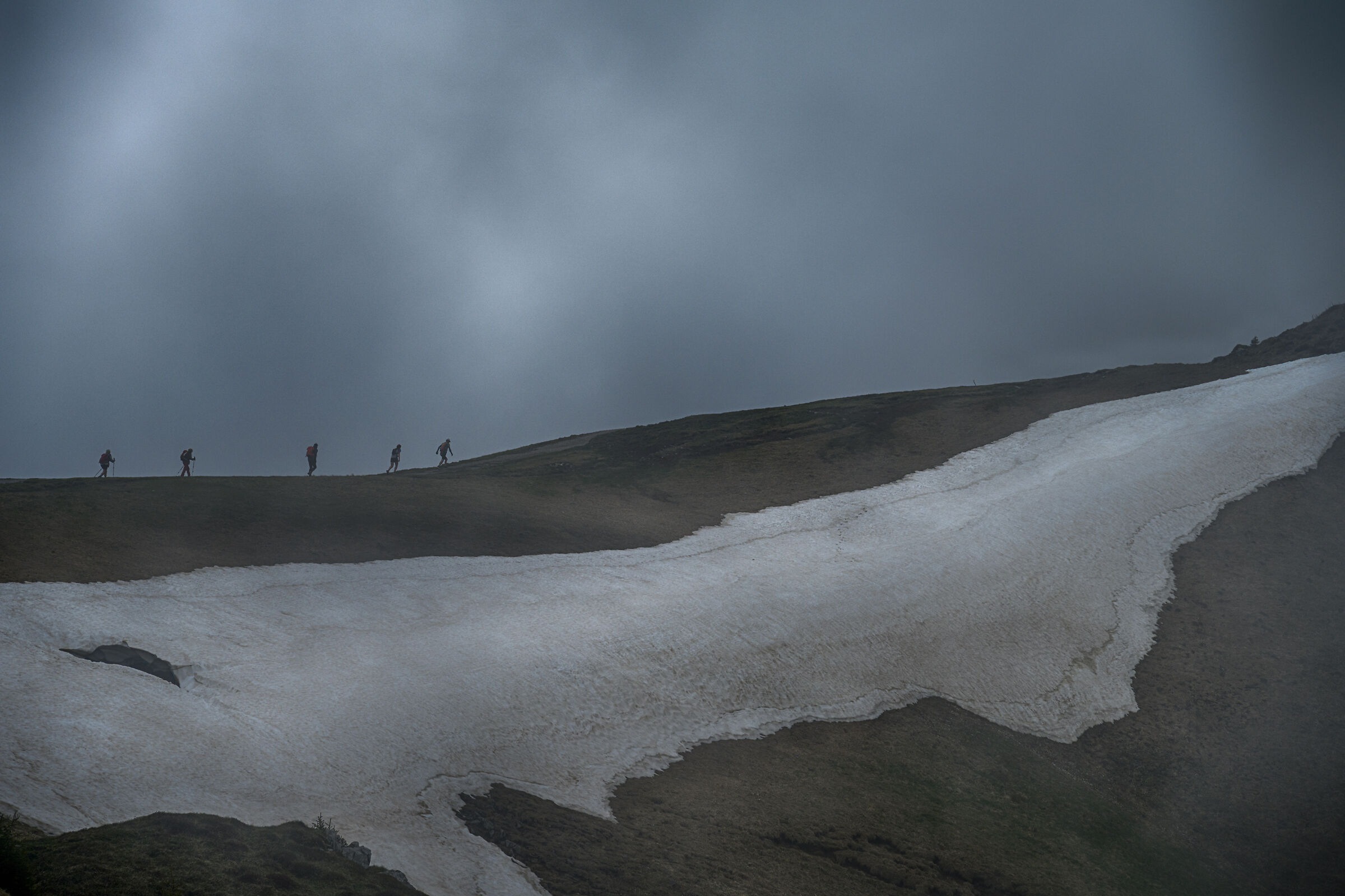 Camminata nella nebbia