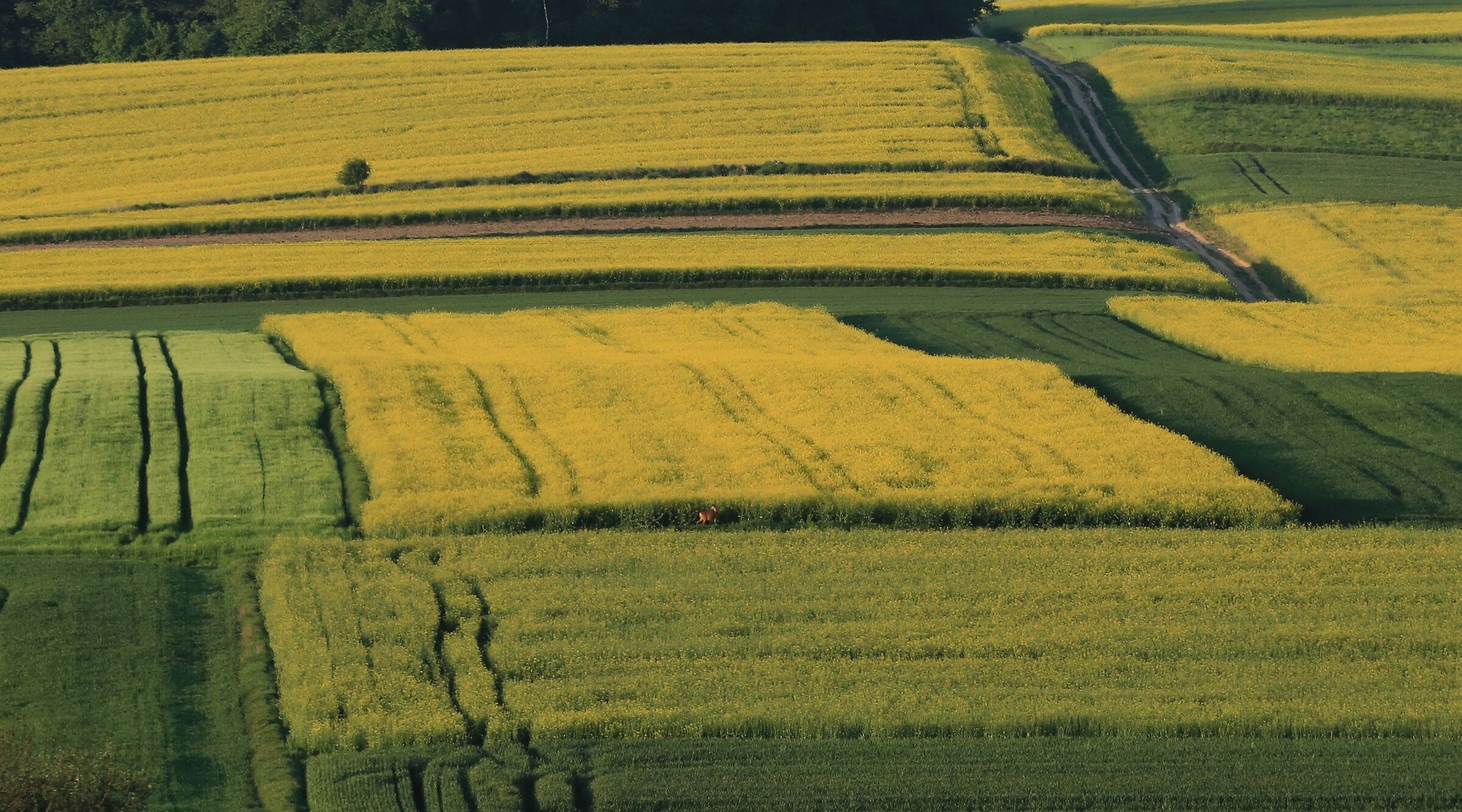 Grande, grande mondo