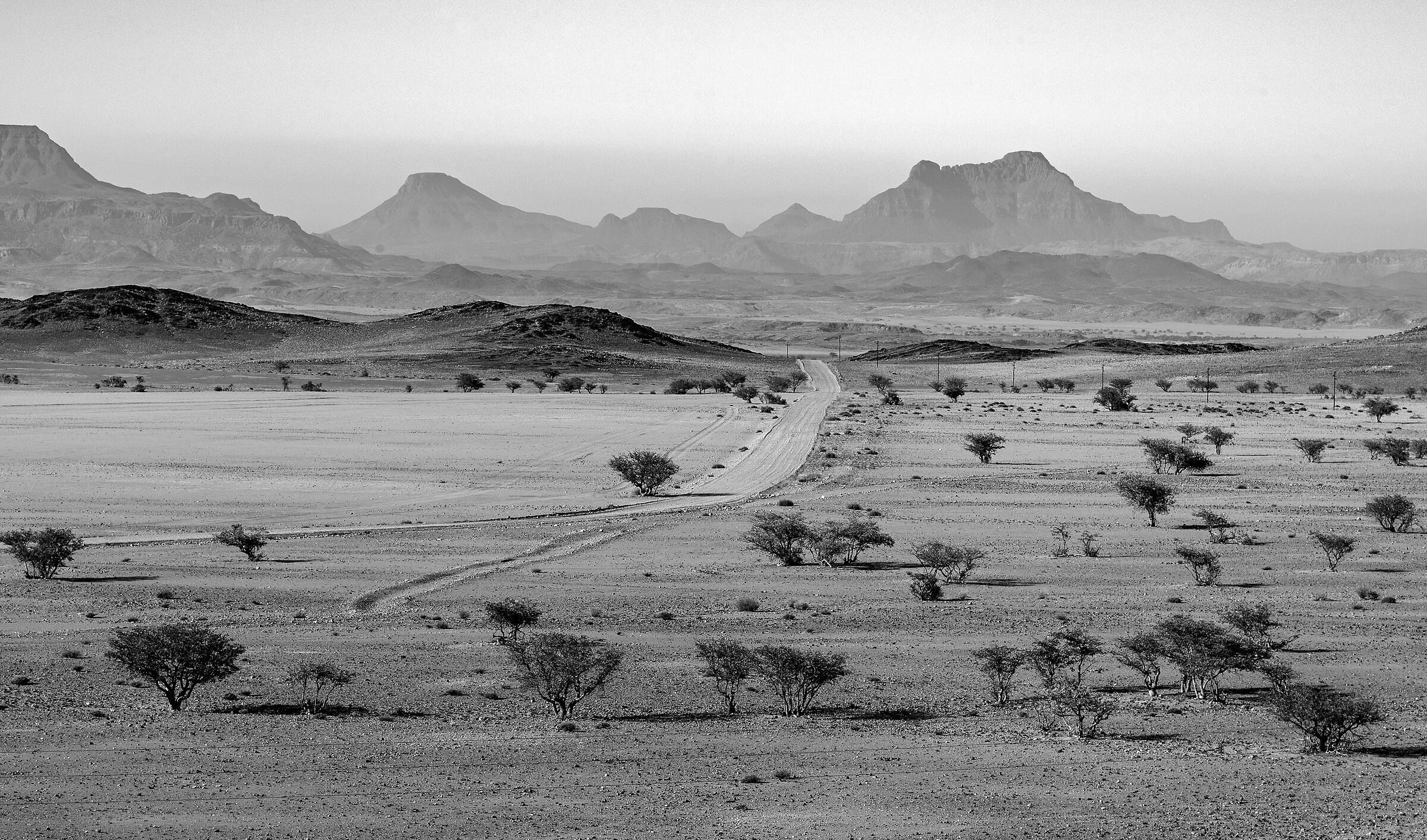 La pista nel Damaraland