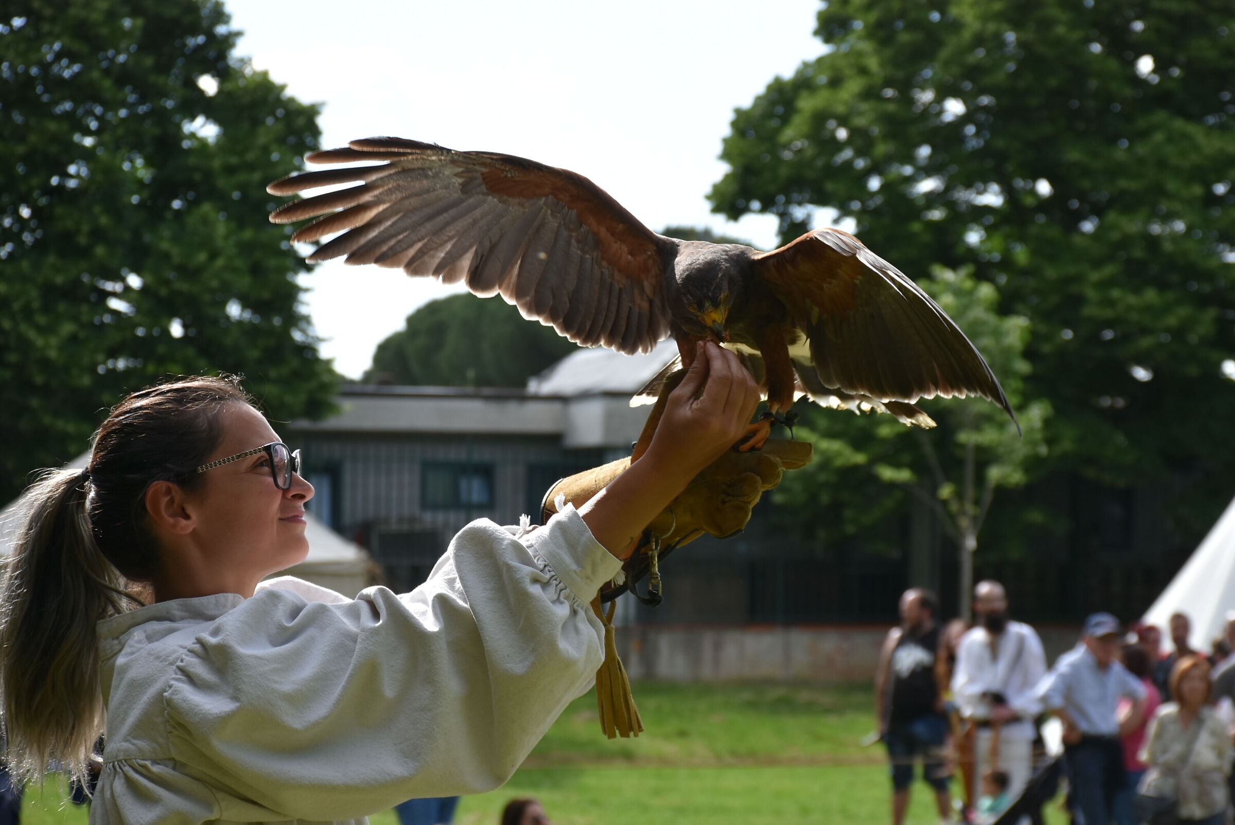 Nuovamente sulla mano