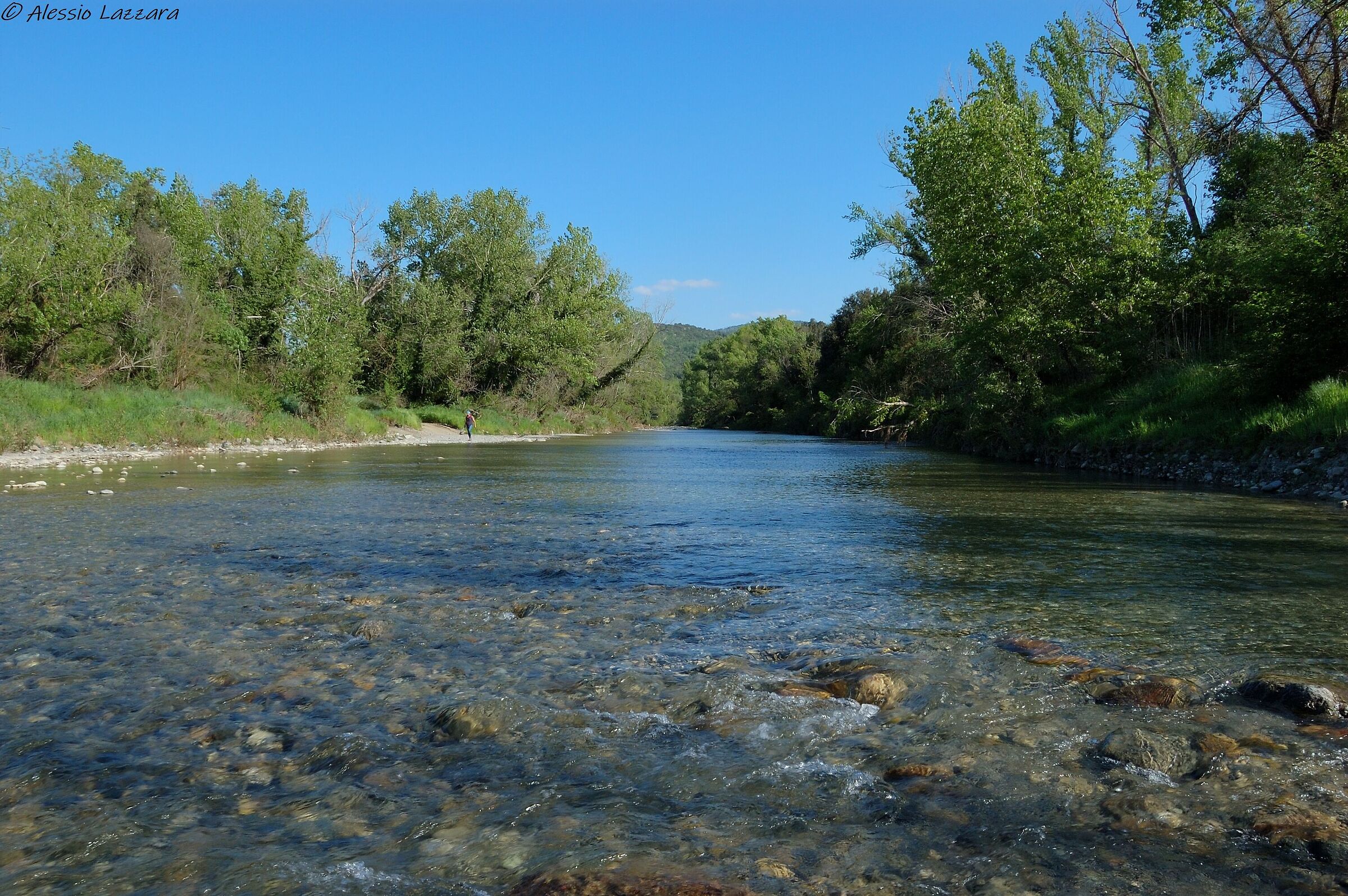 Fiume Cecina