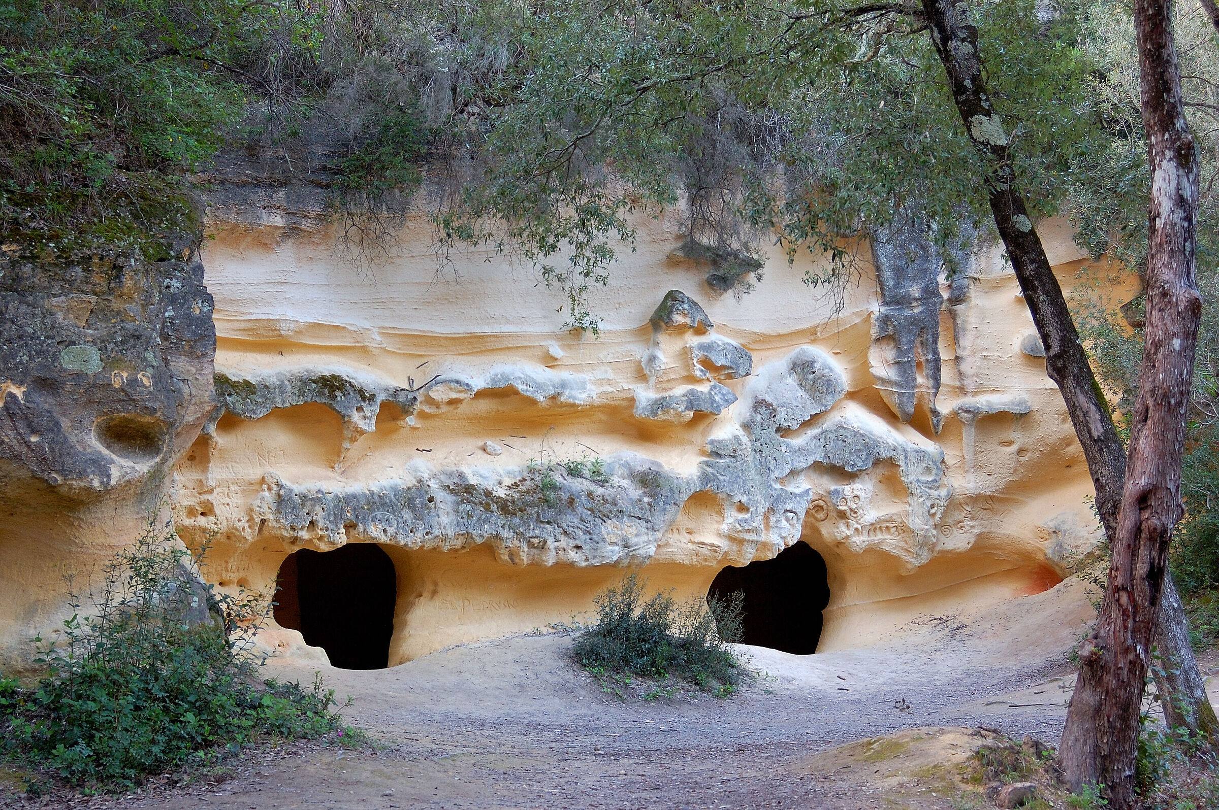 Grotte Gialle