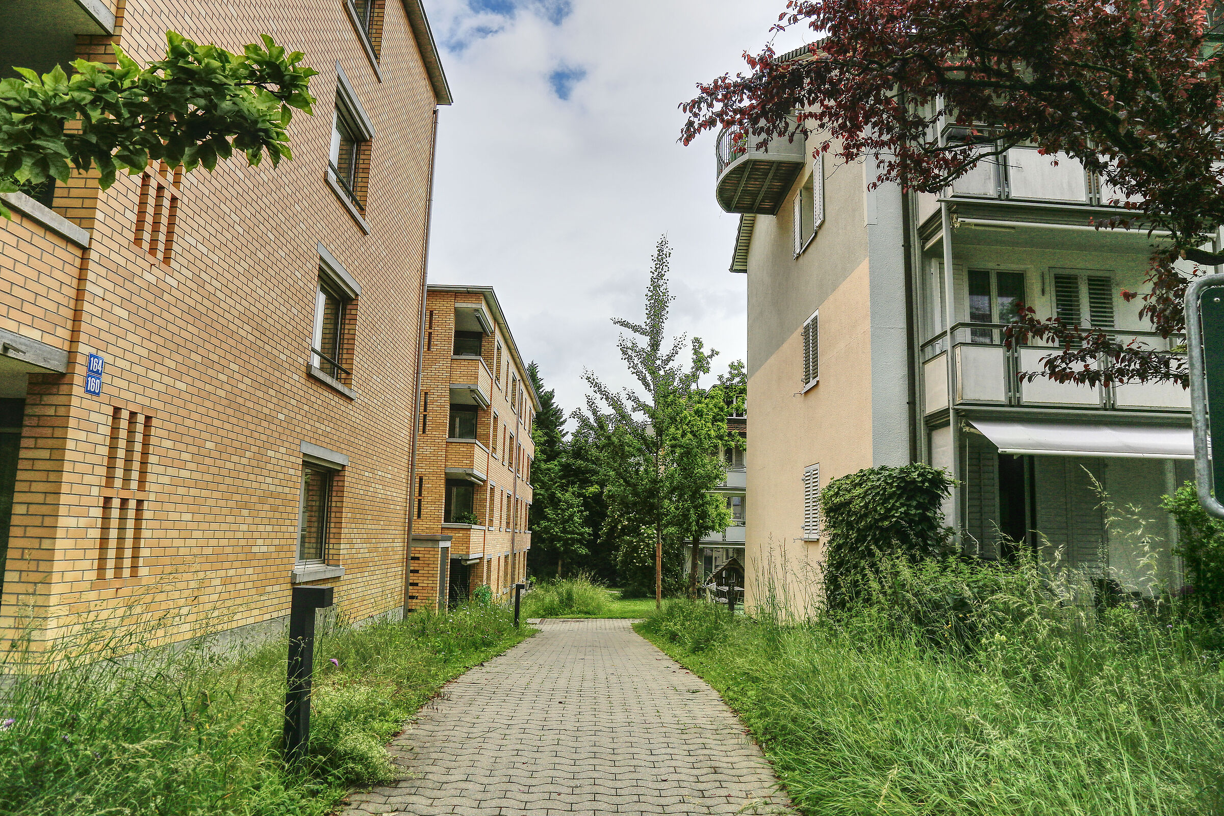 Dettagliato Photo di Vincenzo Basile