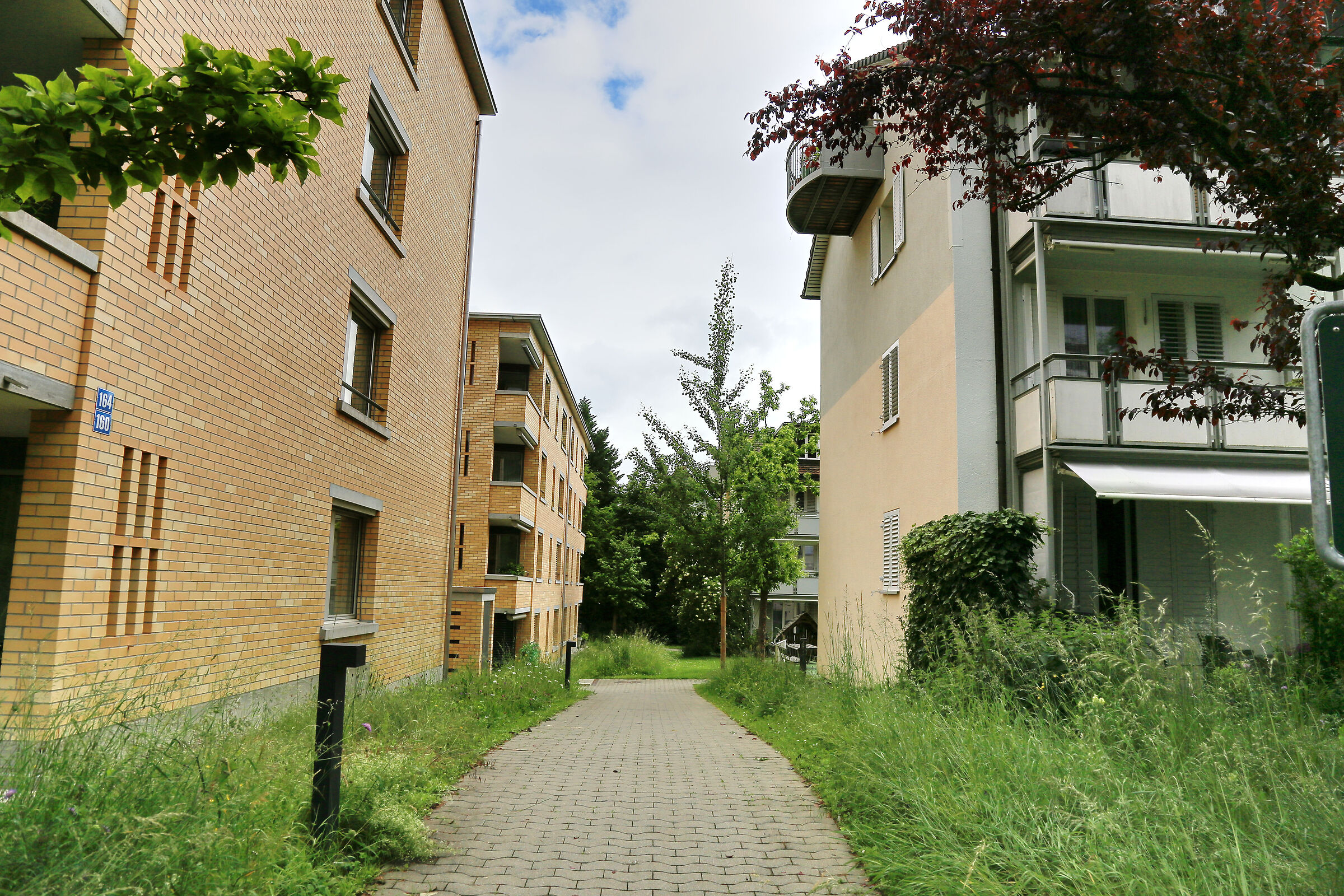 Naturale Photo di Vincenzo Basile