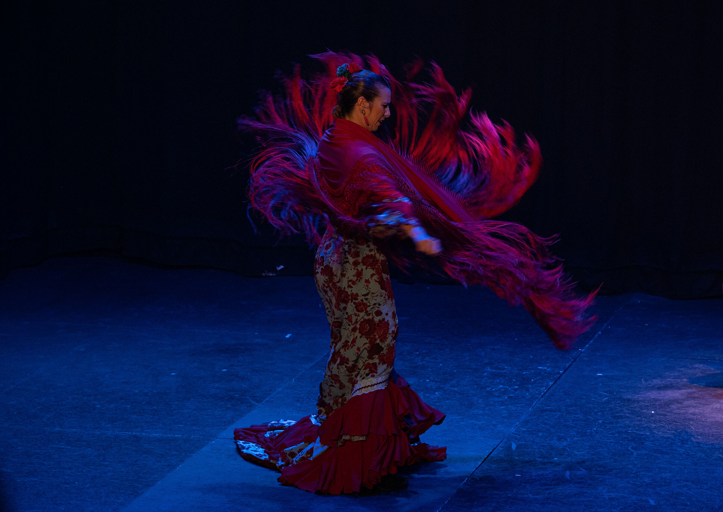 Bailaora flamenco