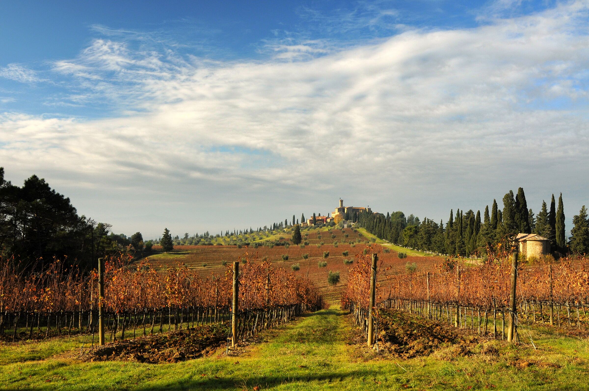 Montalcino - Poggio alle Mura